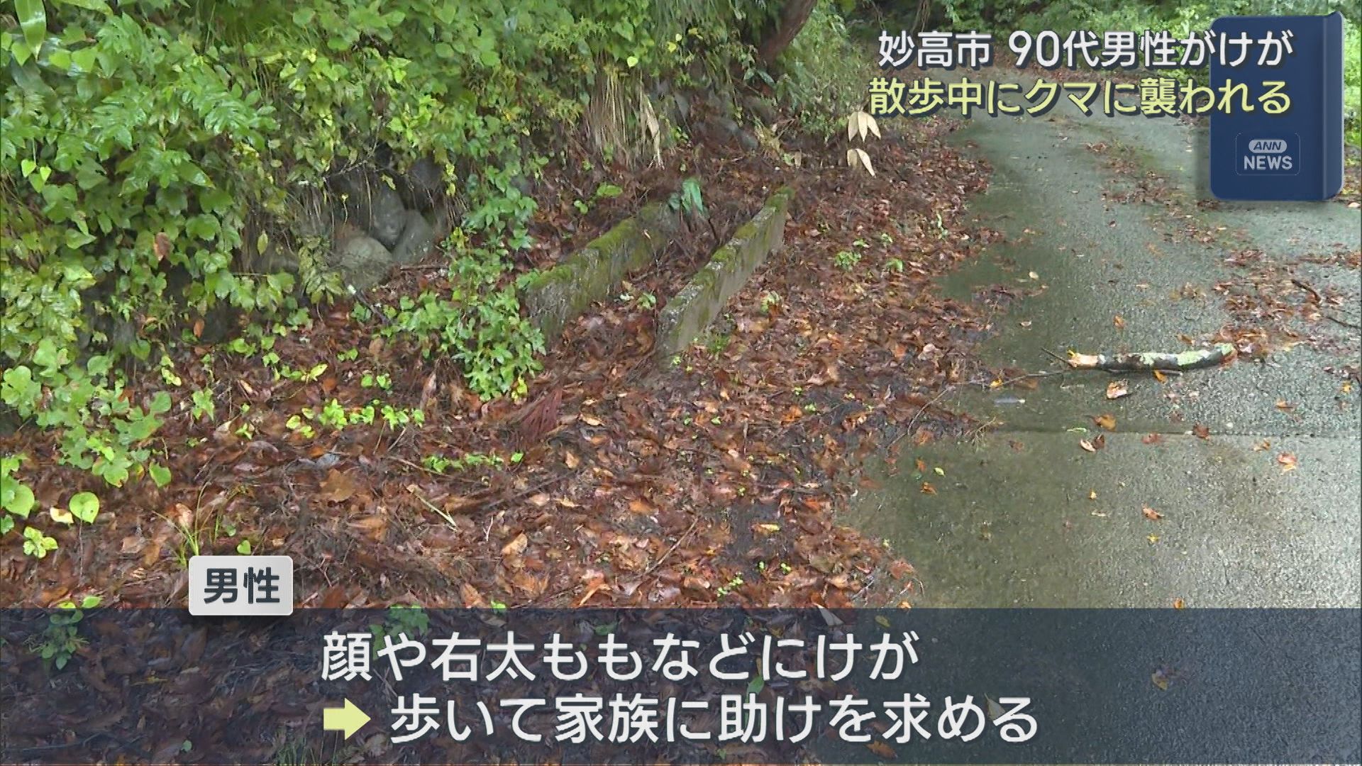 【クマ出没警戒警報】散歩中にクマに襲われる 家族に助けを求め 90代男性がケガ【新潟･妙高市】 2025年09月26日(金)