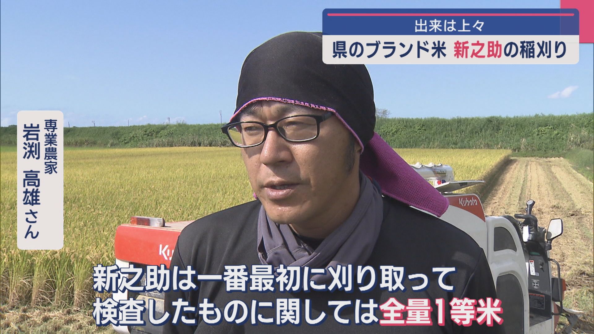 出来は上々！県のブランド米〝新之助〟の稲刈り始まる、仮渡金の追加払いに「うれしい反面…」【新潟･見附市】