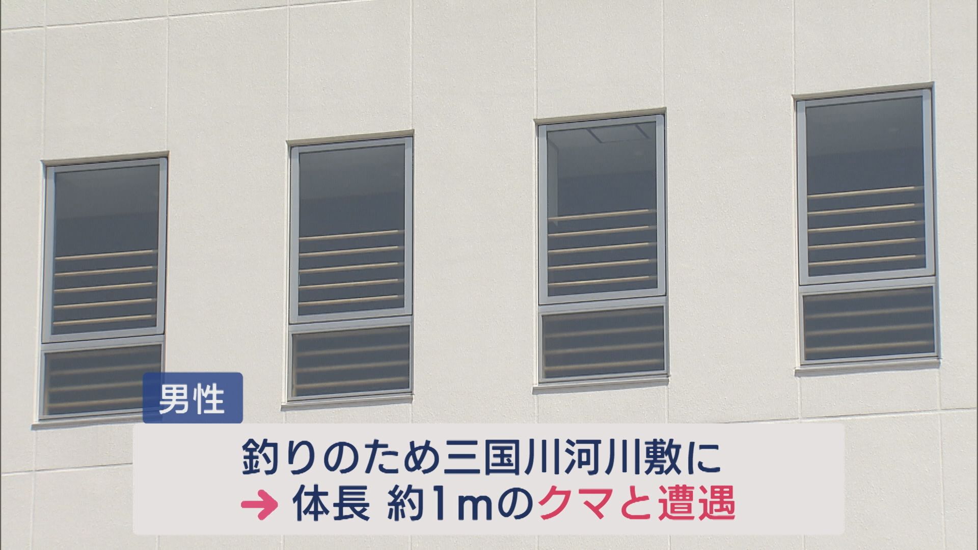 【クマ出没警戒警報】釣りをしに歩いていたらクマに遭遇、頭かまれるなど70代男性がケガ【新潟･南魚沼市】