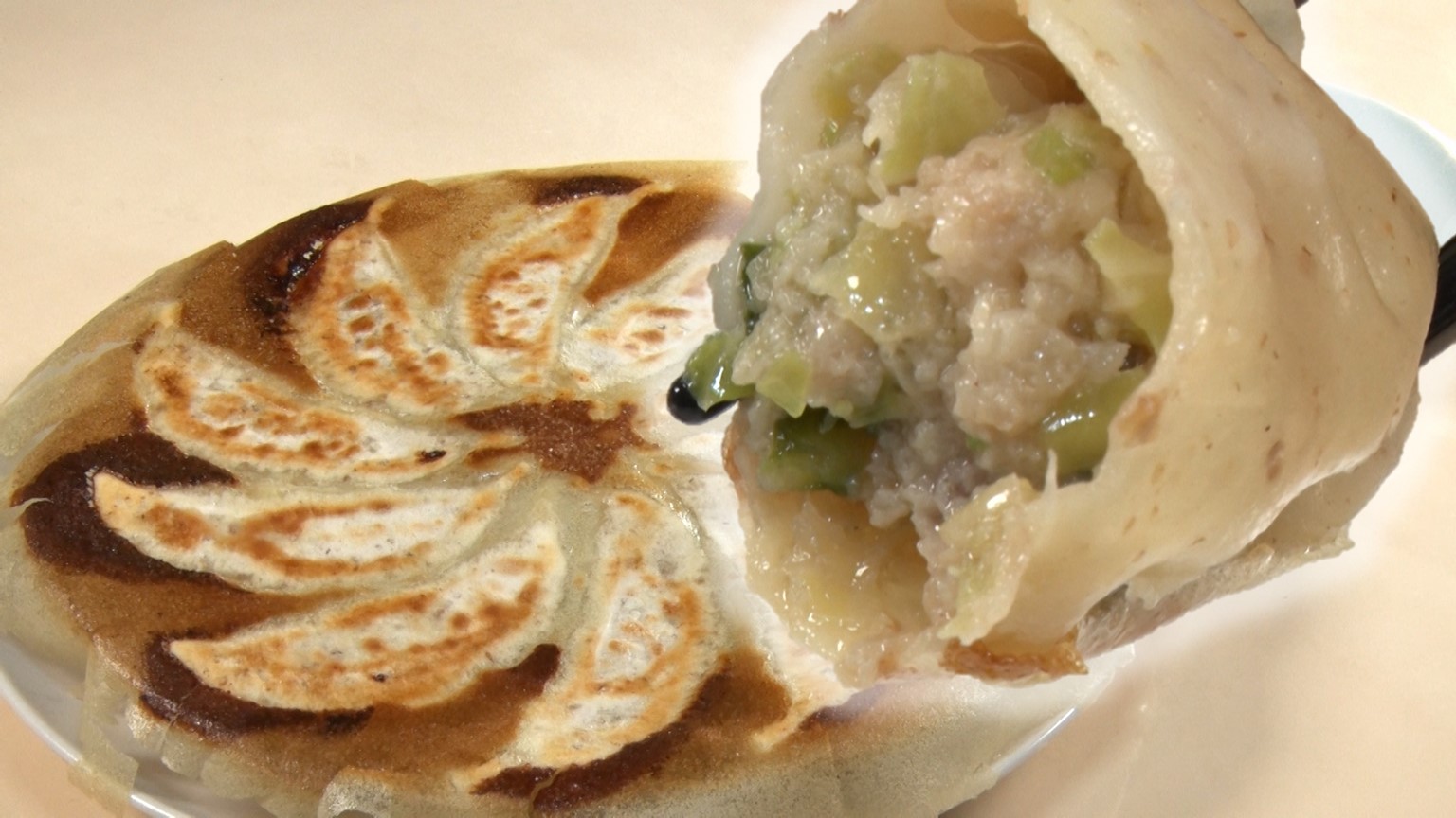 【新潟グルメ】あの担々麺で人気のラーメン店が作る1個30g！餃子好き必見「もちもちえびす餃子」【新潟市中央区】