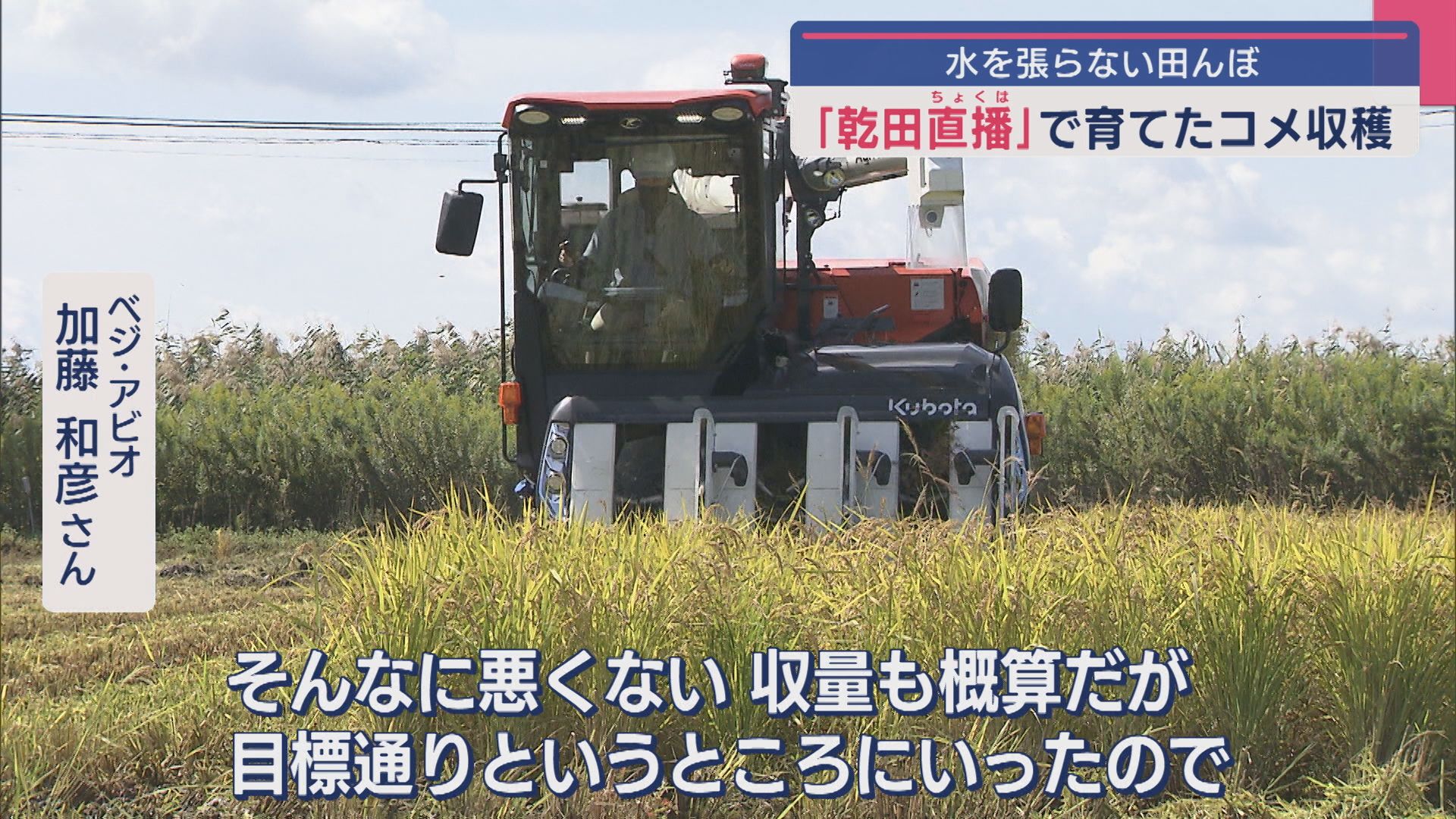 水を張らない田んぼ〝乾田直播〟で育てたコメの稲刈り「収量も目標通り」【新潟】