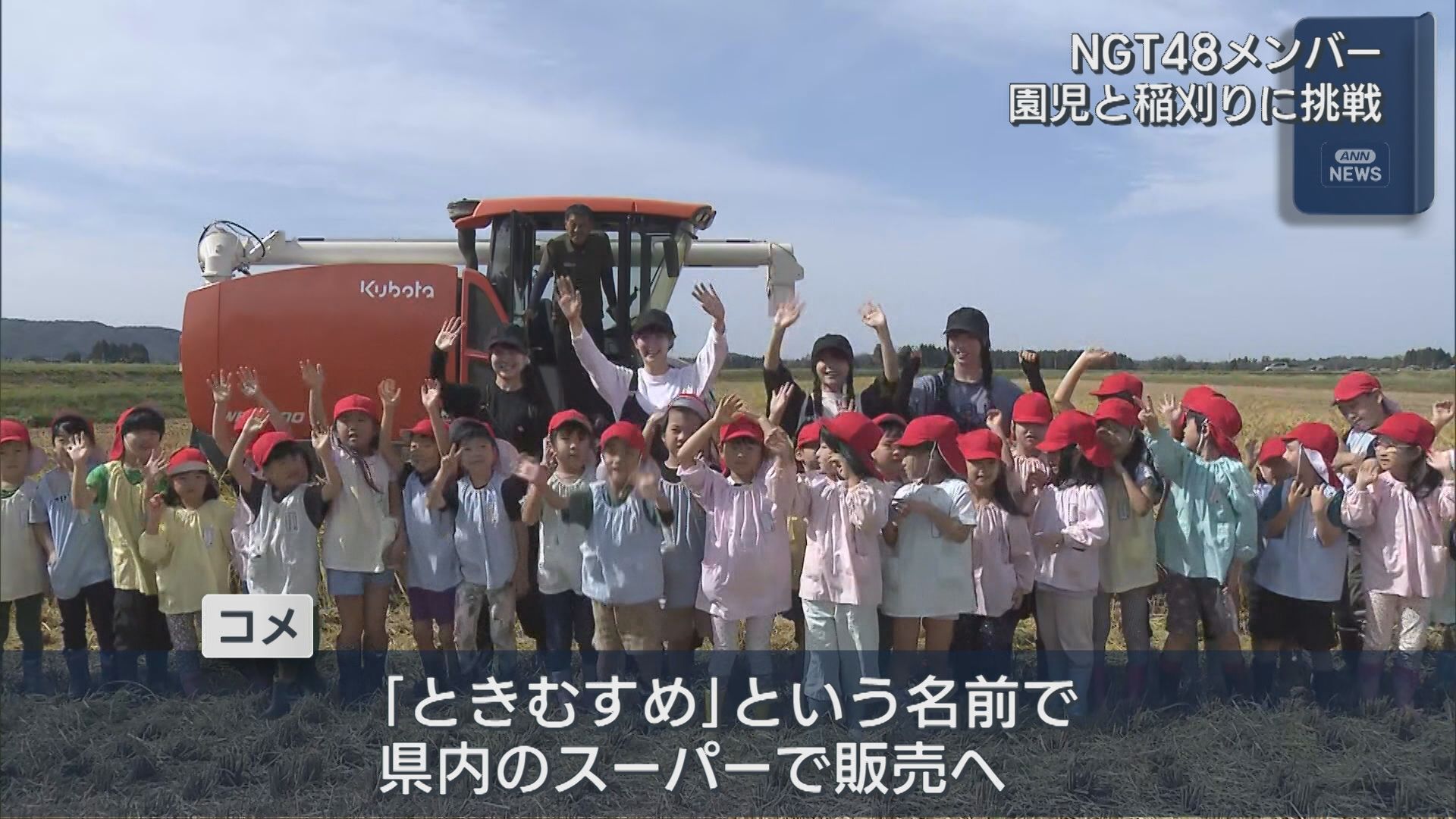 新発田市の田んぼ NGT48メンバーが園児と『ときむすめ』を稲刈り【新潟】