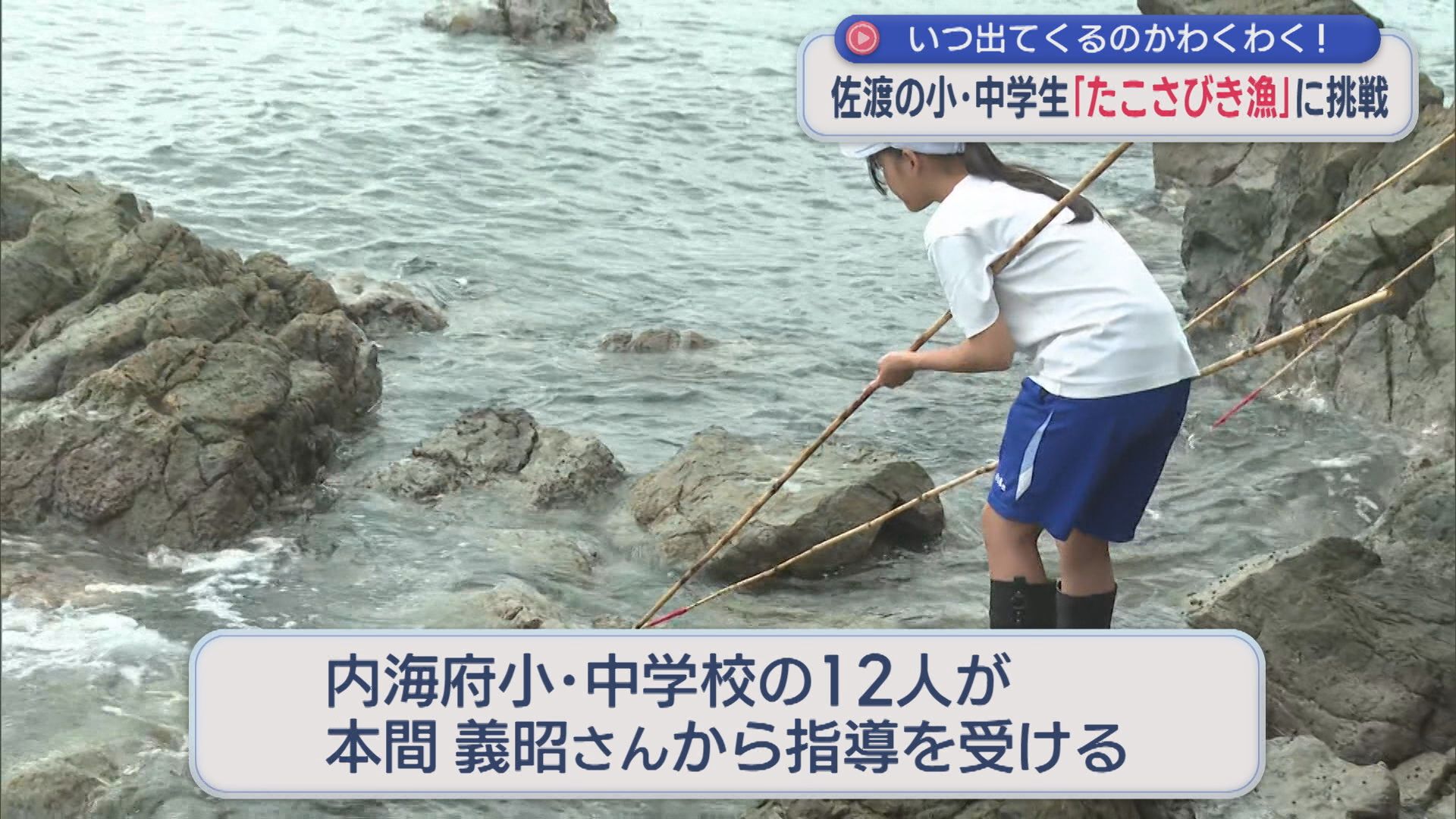 地元の小･中学生が伝統漁〝たこさびき漁〟に挑戦！「スリルあって楽しい」【新潟･佐渡市】 2025年10月08日(水)