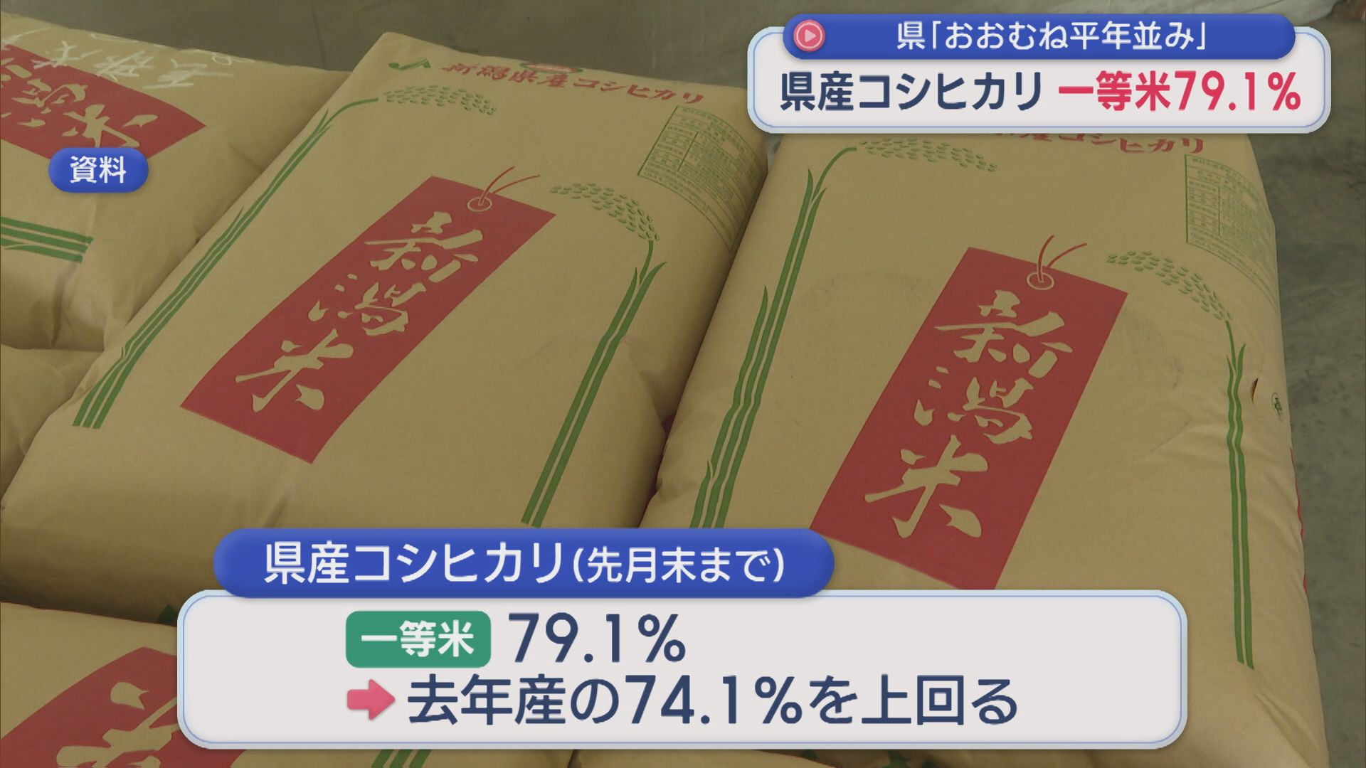 コシヒカリの一等米比率は79.1%　県「おおむね平年並みを確保」【新潟】 2025年10月09日(木)