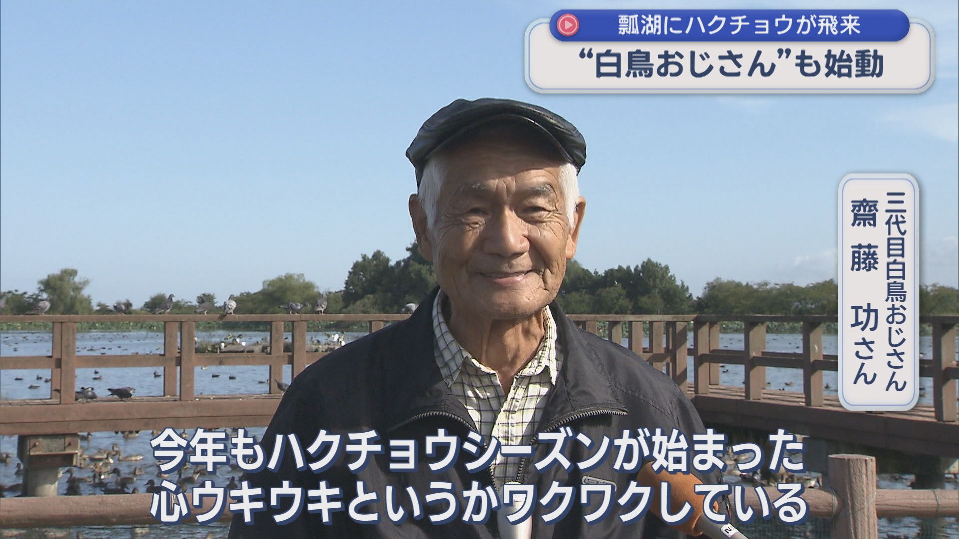 白鳥おじさんも始動「心ウキウキ」瓢湖に冬の使者･ハクチョウが飛来【新潟･阿賀野市】 2025年10月09日(木)