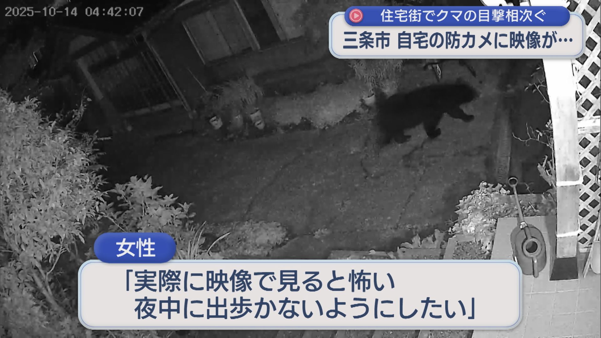 防犯カメラにうつっていたのは･･･体長約1.2mのクマ「実際に映像で見ると怖い」【新潟･三条市】 2025年10月14日(火)