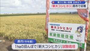 出来は？暑さに強い品種「新大こしひかり」燕市で稲刈り【新潟】 2025年10月17日(金)