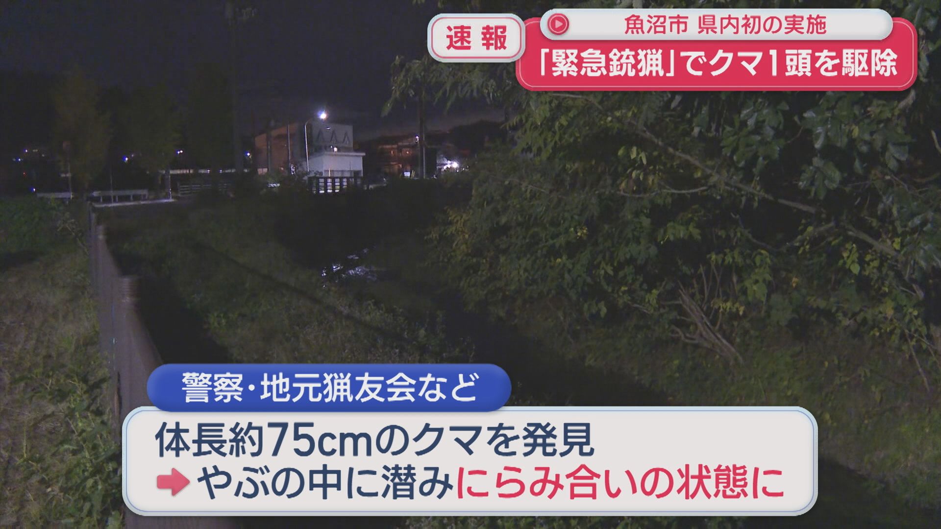 【速報】魚沼市でクマ1頭を駆除「緊急銃猟」新潟県内初の実施【新潟】 2025年10月21日(火)