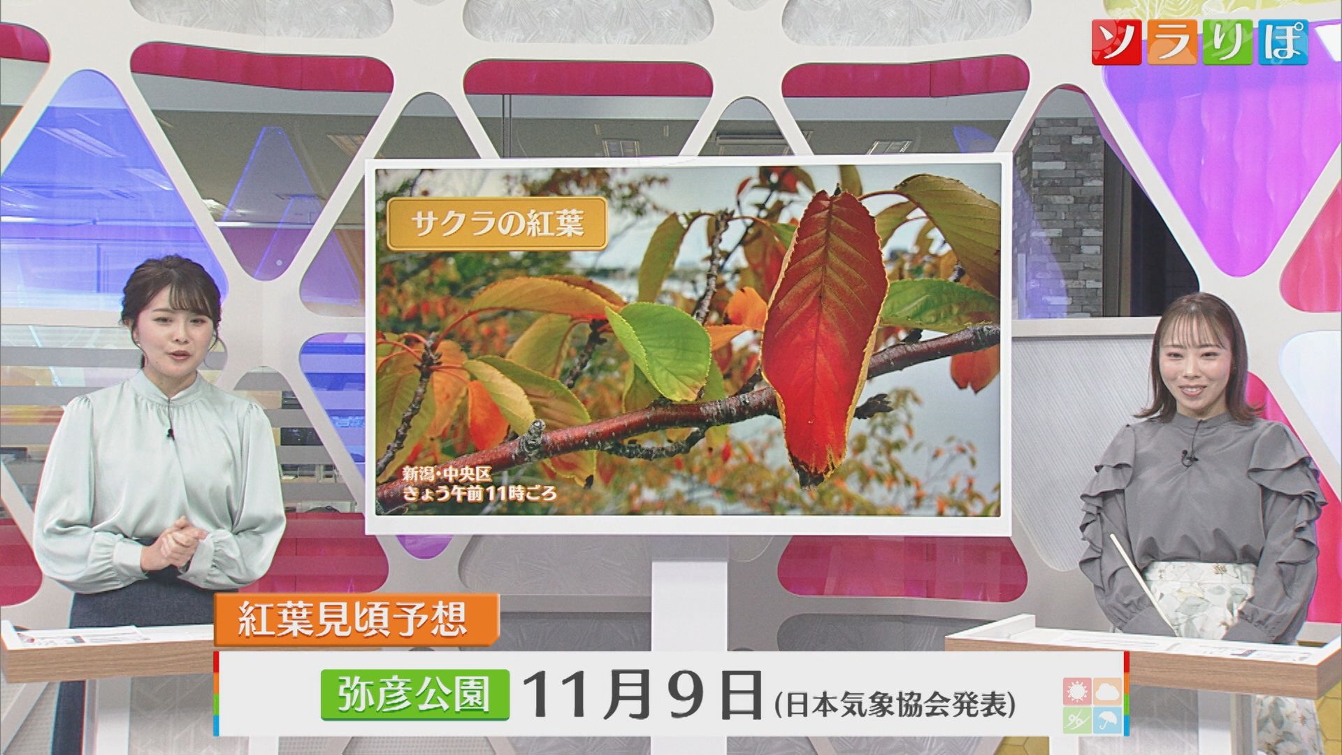 紅葉はいつ？23日朝は冷え込み強く…霜が降りるほどの寒さのところも【気象予報士が解説｜新潟】 2025年10月22日(水)