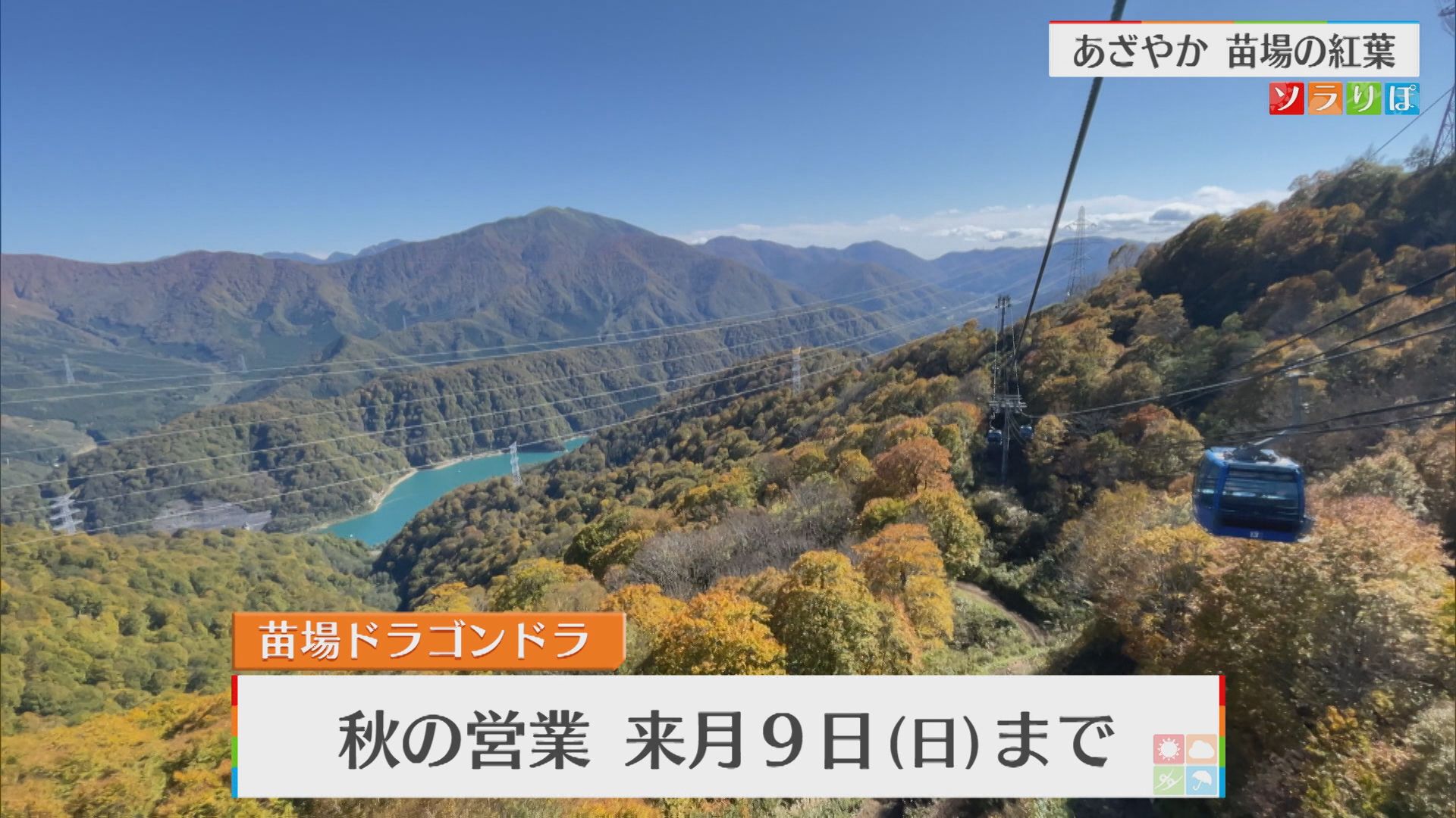 【紅葉おでかけ情報】全長約5.5kmの「ドラゴンドラ」でゆったり空中散歩【新潟･湯沢町】 2025年10月24日(金)