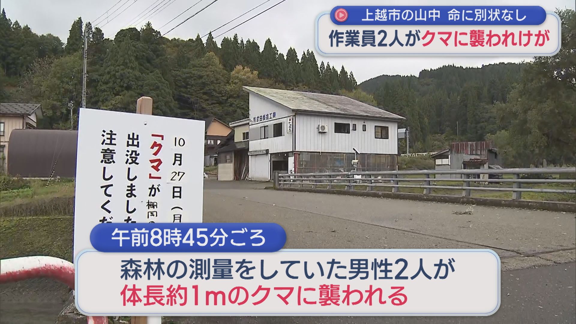 上越市の山中で作業員2人がクマに襲われケガ「1人が足をかまれ･･･」命に別状なし【新潟】 2025年10月27日(月)