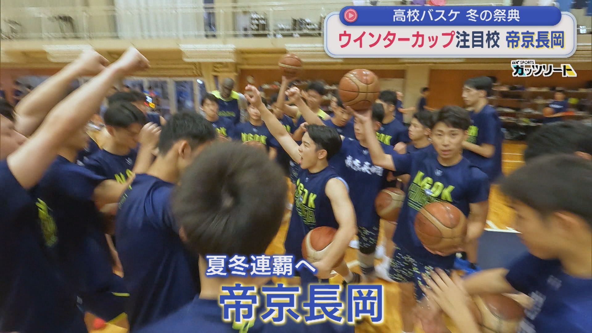 【高校バスケ男子｜ウインターカップ】夏夏冬連覇を目指す「帝京長岡」（注目校①）【新潟】 2025年10月27日(月)