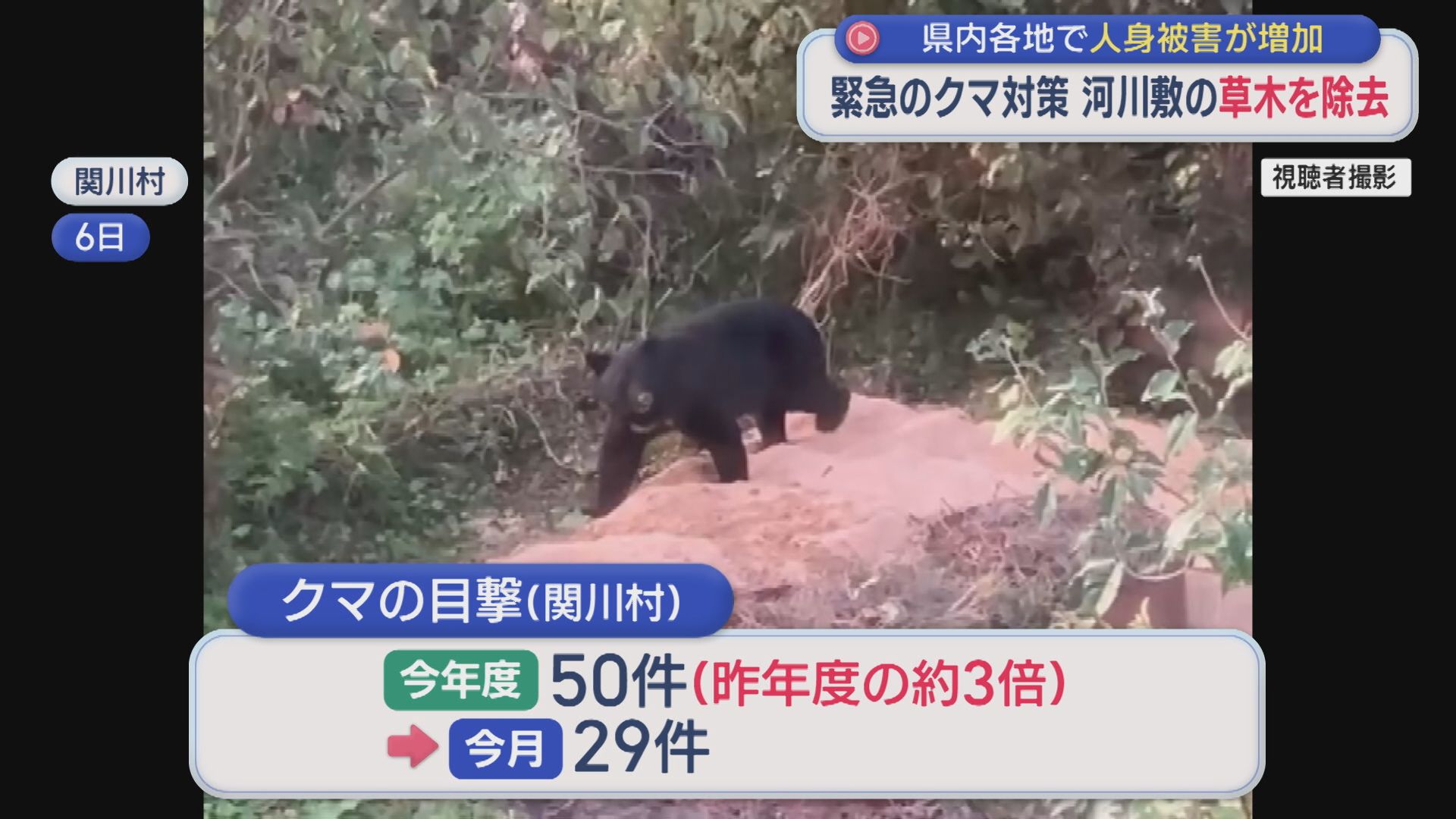 緊急のクマ対策 通り道とみられる全長2kmの草木を踏み倒しクマを早期に発見【新潟】 2025年10月28日(火)