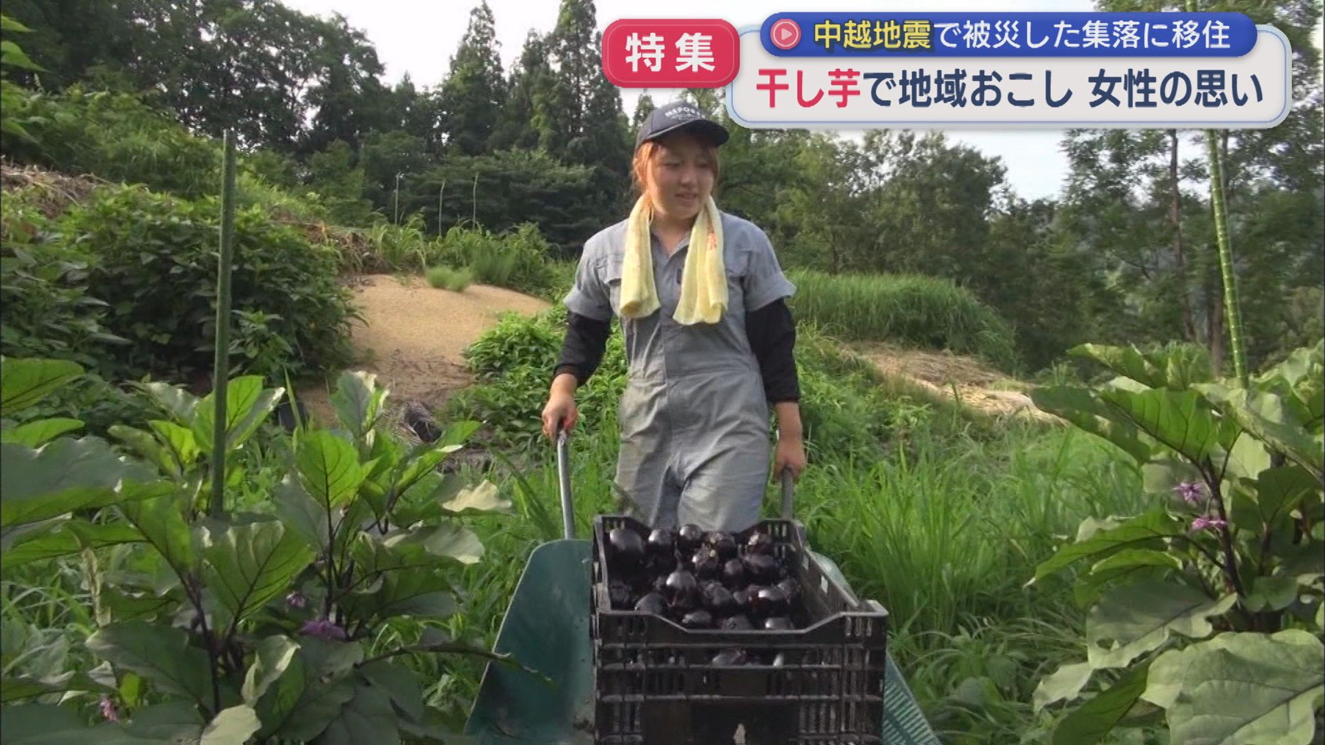 “干し芋”で地域おこしを 中越地震で被災した集落で移住した女性が奮闘【新潟】 2025年10月28日(火)