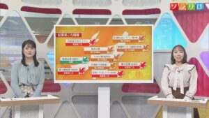 30日朝は「放射冷却」で今季一番の冷え込みに【気象予報士が解説｜新潟】 2025年10月29日(水)