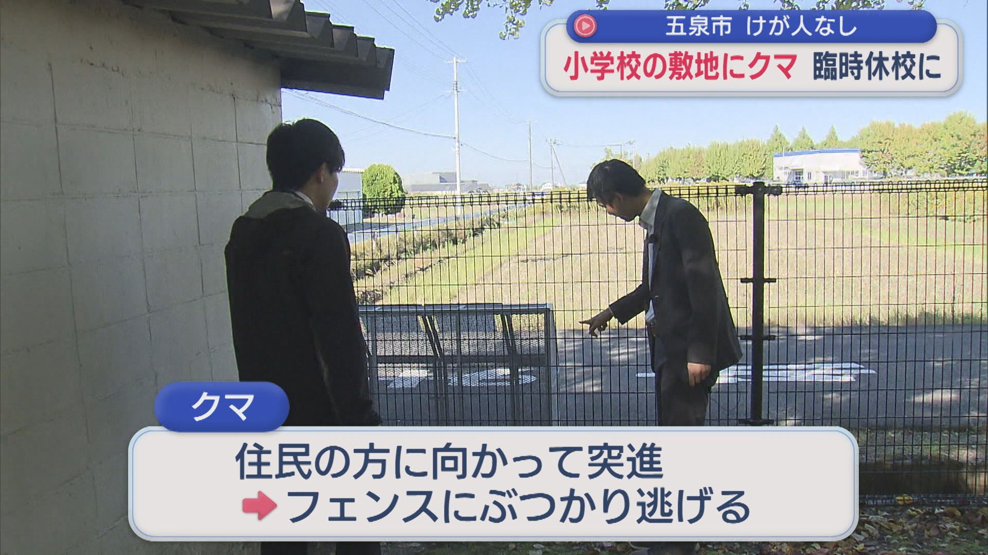 小学校の敷地でクマ目撃で臨時休校に、散歩中の住民の方に突進もフェンスにぶつかり逃げる【新潟･五泉市】 2025年10月30日(木)