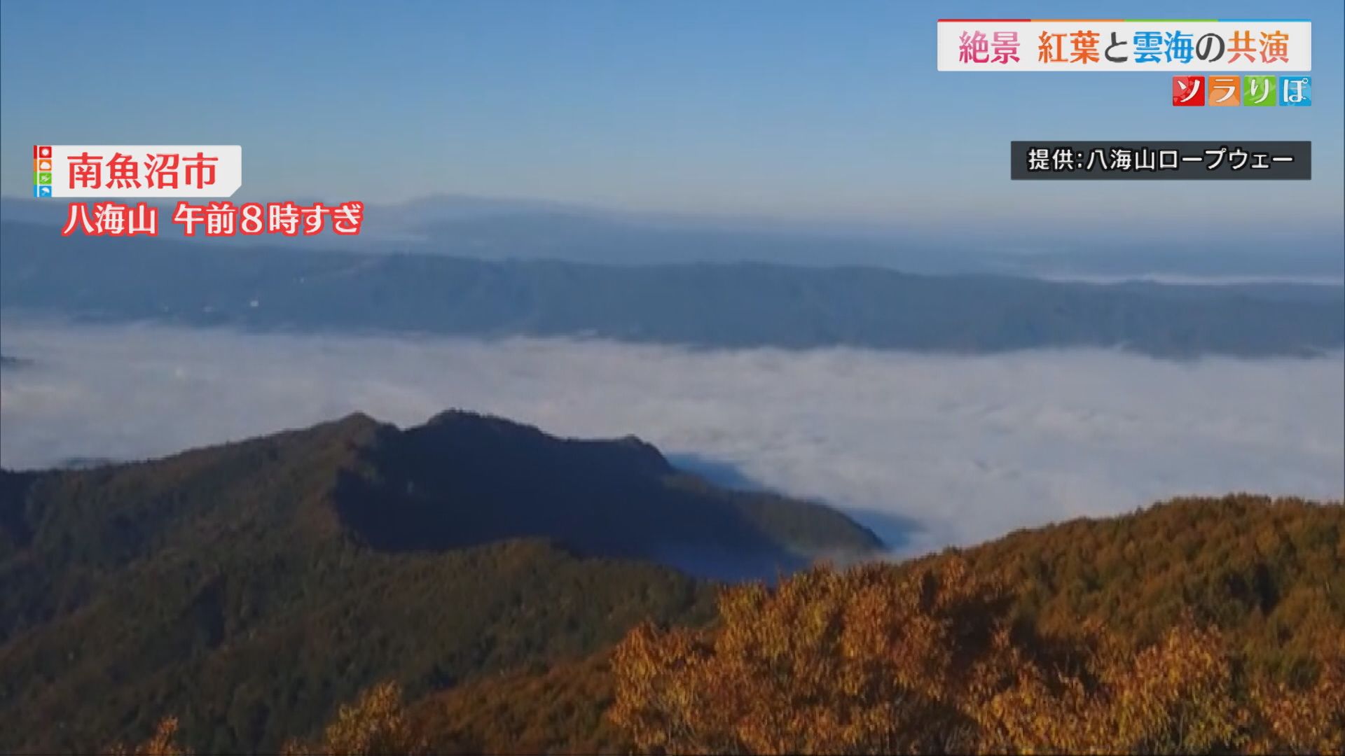 【紅葉情報】絶景！八海山では見事な「雲海」と「紅葉」のコラボレーション【新潟･南魚沼市】 2025年10月30日(木)