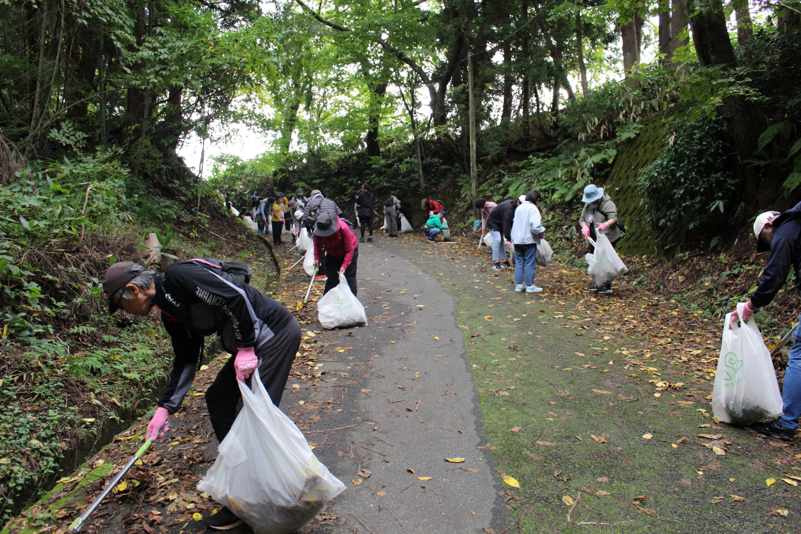 長岡市 もみじ園で Team ECO Work！を開催🌈