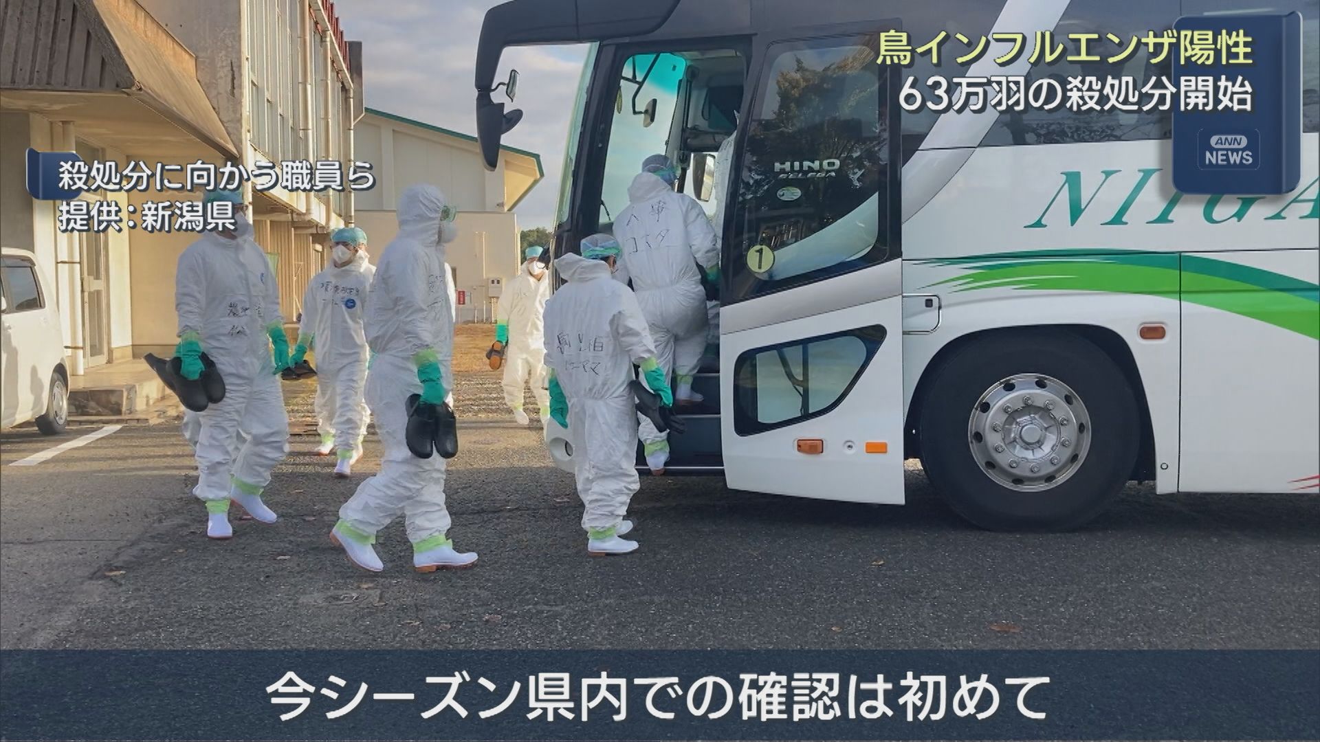 【鳥インフルエンザ】63万羽を殺処分 遺伝子検査で陽性確認【新潟･胎内市】 2025年11月04日(火)