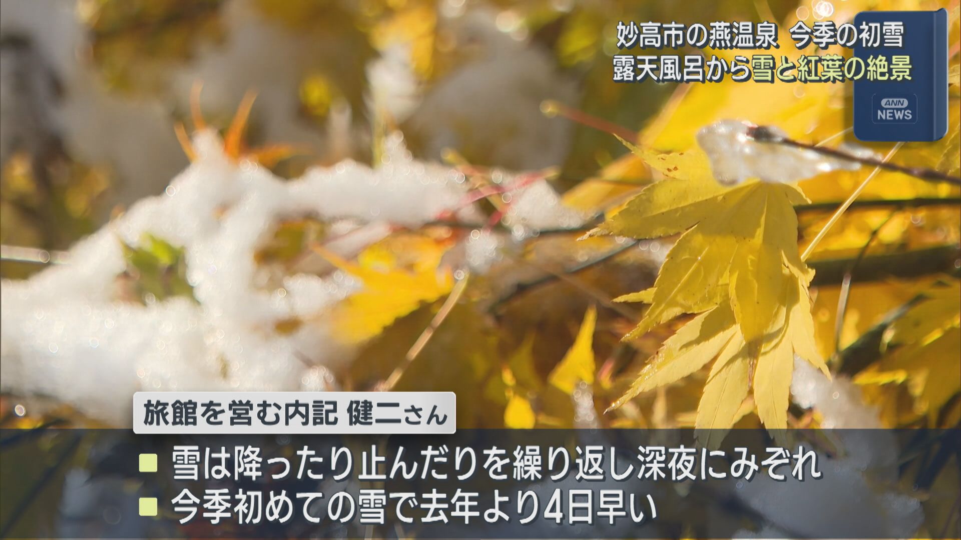 【今シーズン初雪】妙高市･燕温泉の露天風呂から 雪と紅葉の絶景【新潟】 2025年11月04日(火)