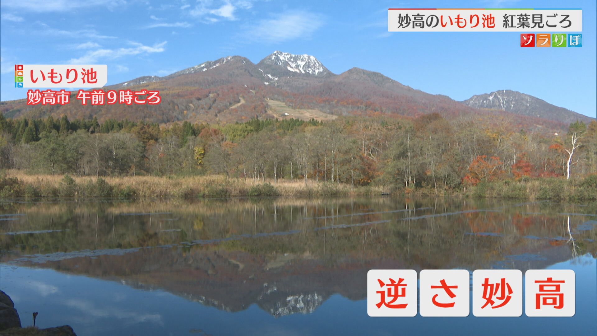 【紅葉スポット情報】水面に映る〝逆さ妙高〟周辺の木々も紅葉見ごろに【新潟･妙高市】 2025年11月05日(水)