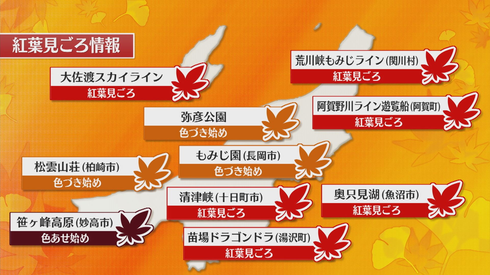 7日は夜のほうが気温が下がりそう、紅葉見ごろ情報も【これからの天気(6日18時40分現在)｜新潟】 2025年11月06日(木)