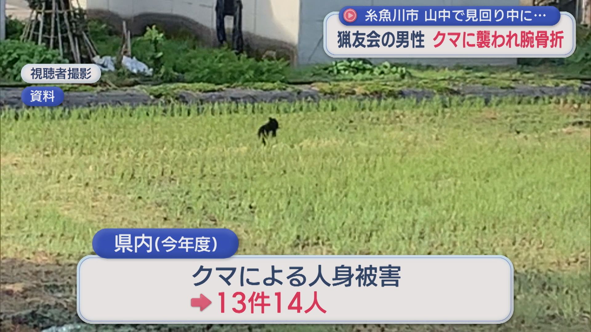 山中で見回り中に 猟友会の男性がクマに襲われ腕を骨折【新潟･糸魚川市】 2025年11月07日(金)