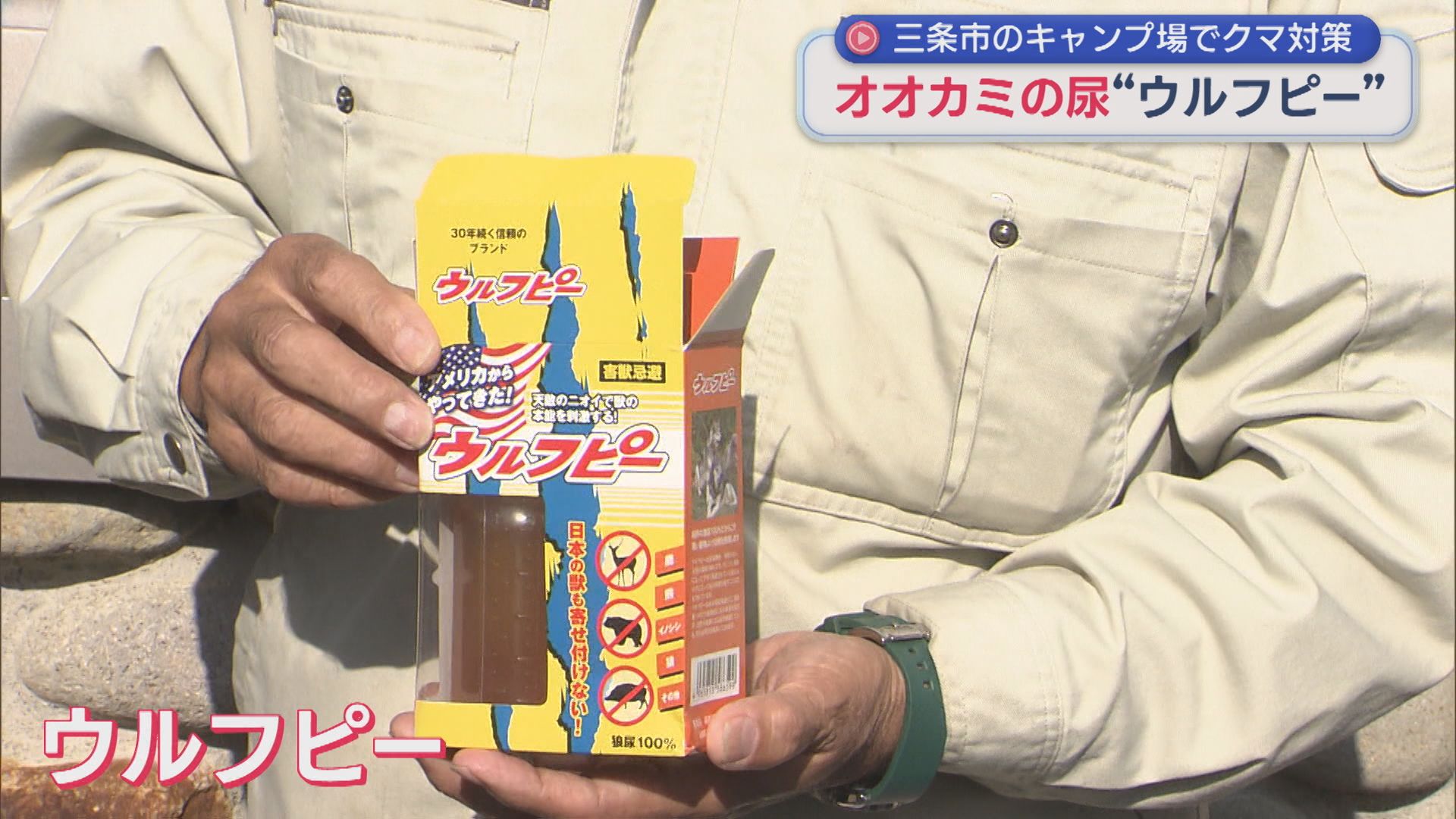 【クマ対策】天敵の尿を使った獣除け「ウルフピー」三条市のキャンプ場に設置【新潟】 2025年11月07日(金)