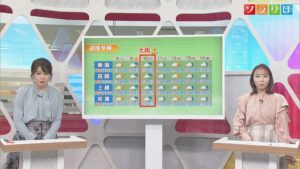 タイヤ交換など冬支度はいつ？この先は雨と寒さに注意、山では雪も【気象予報士が解説｜新潟】 2025年11月07日(金)