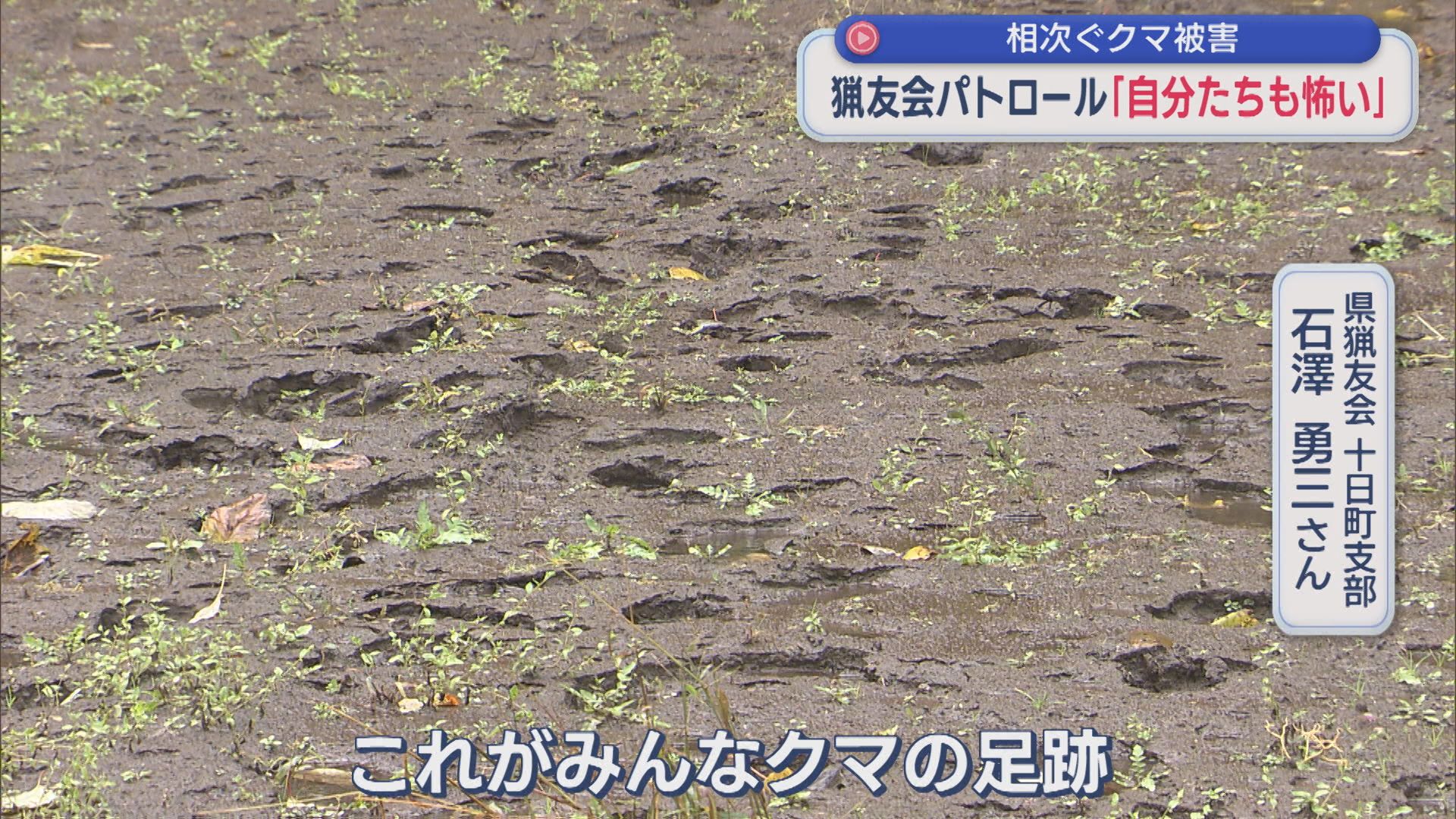わなにかかるクマは例年の2倍以上･･･猟友会「自分たちも怖い」パトロールに同行【新潟･十日町市】