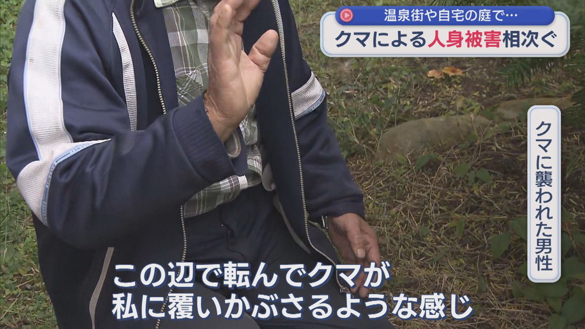 【クマ被害相次ぐ】飼い猫を探しに出たら･･･やぶからクマが顔を出し突進【新潟･新発田市】