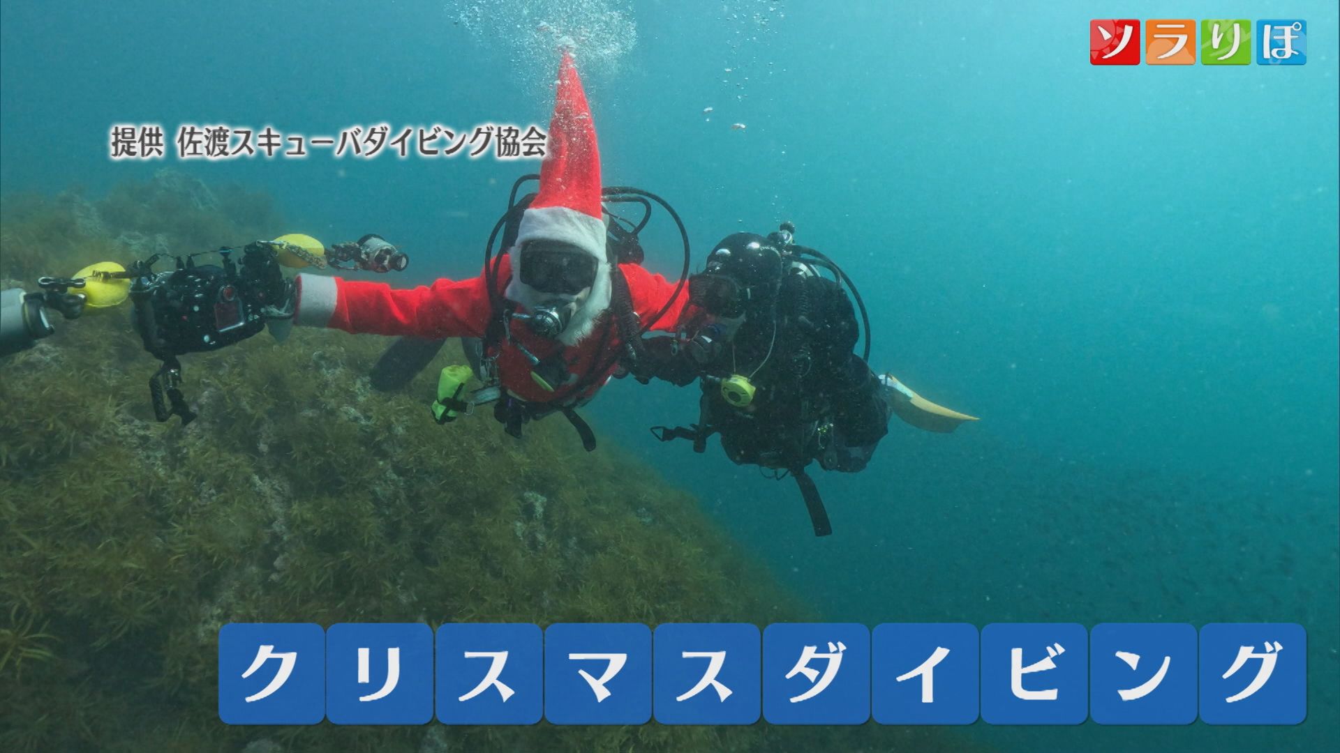 サンタやトナカイのダイバー!?一風変わった「クリスマスダイビング」【新潟･佐渡市】