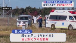 「準備をしようと車から降りたところで」約1.5mのクマに襲われ負傷しながら猟友会の男性自ら駆除【新潟･新発田市】 2025年11月12日(水)