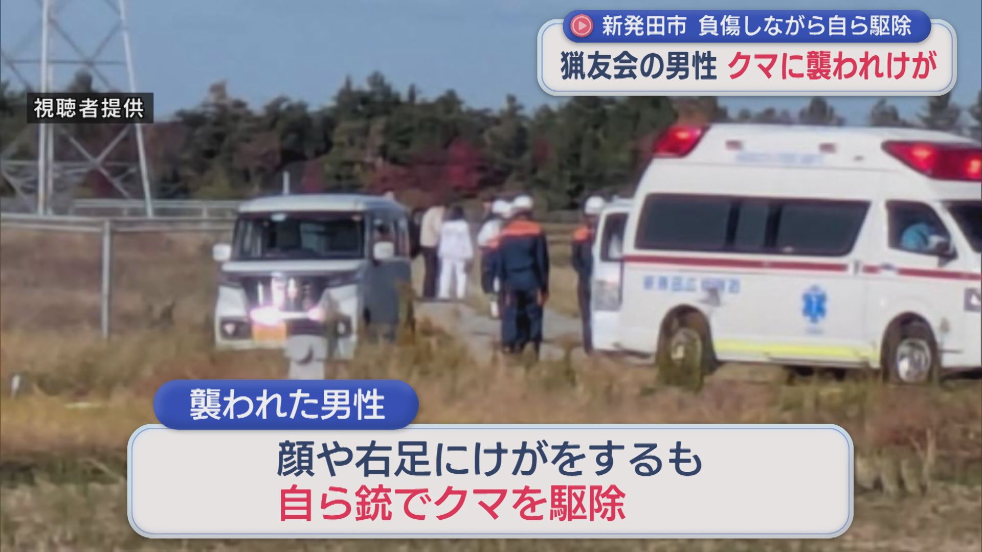 「準備をしようと車から降りたところで」約1.5mのクマに襲われ負傷しながら猟友会の男性自ら駆除【新潟･新発田市】