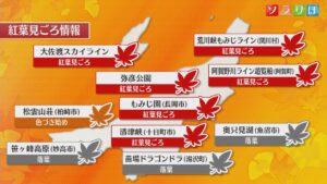 明日は天気が下り坂に、雨具があると安心【これからの天気(12日18時40分現在)｜新潟】 2025年11月12日(水)