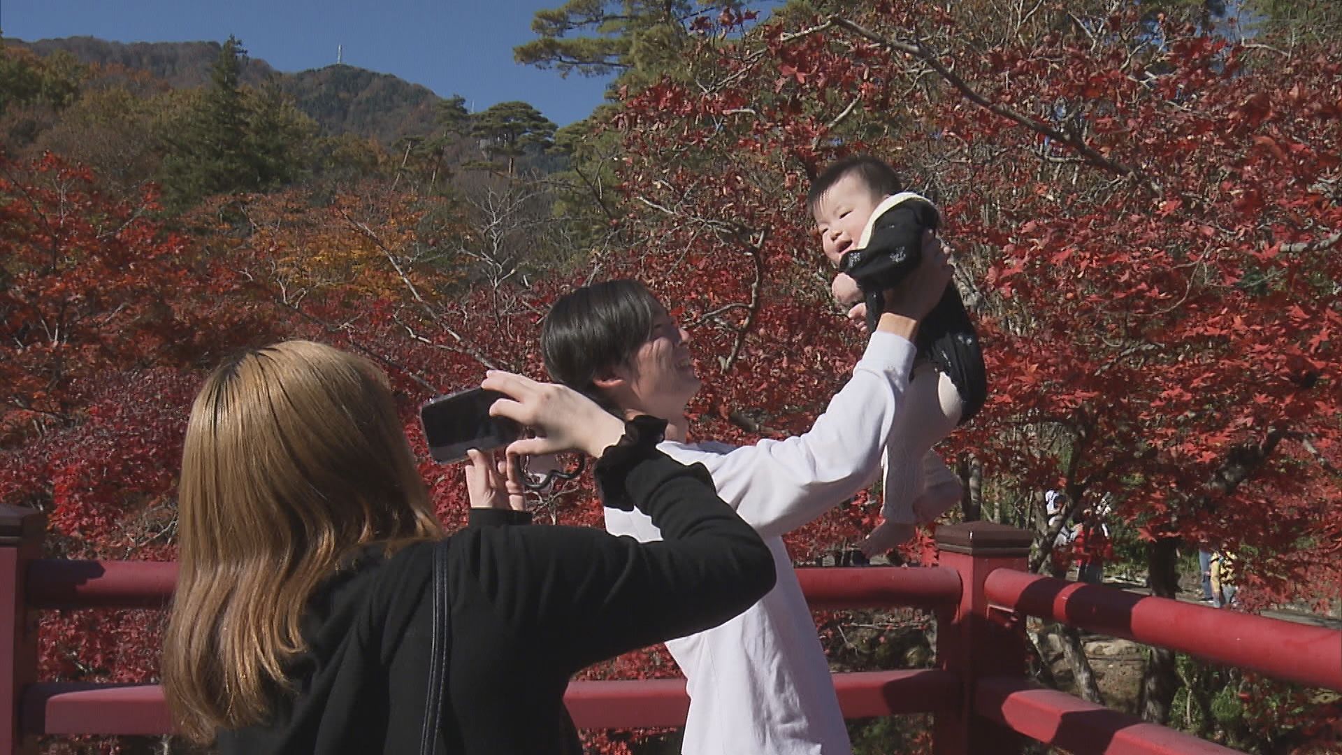 色鮮やかな紅葉を見に家族連れでにぎわう 紅葉の名所弥彦公園のもみじ谷【新潟】 2025年11月16日(日)