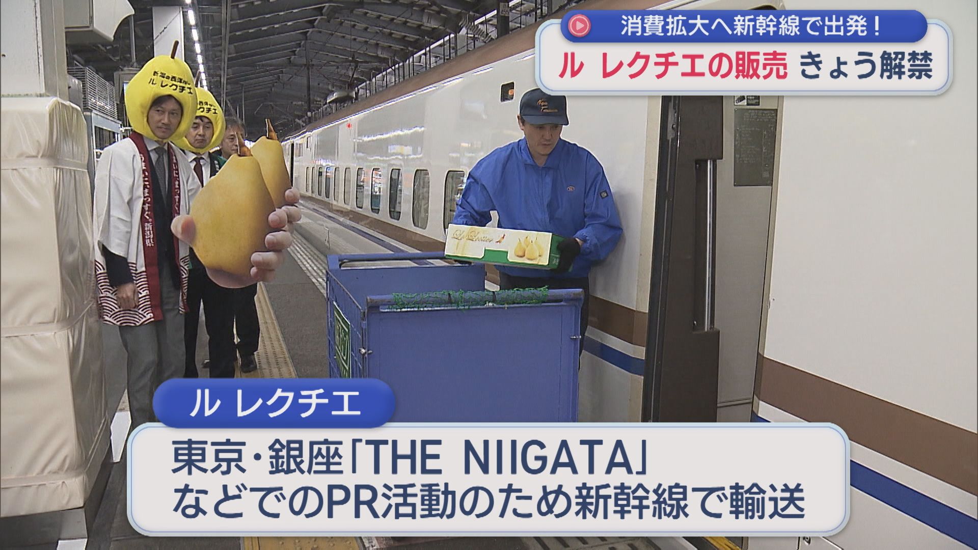幻の西洋ナシ「ル レクチエ」解禁！消費拡大へ新幹線で出発【新潟】 2025年11月20日(木)