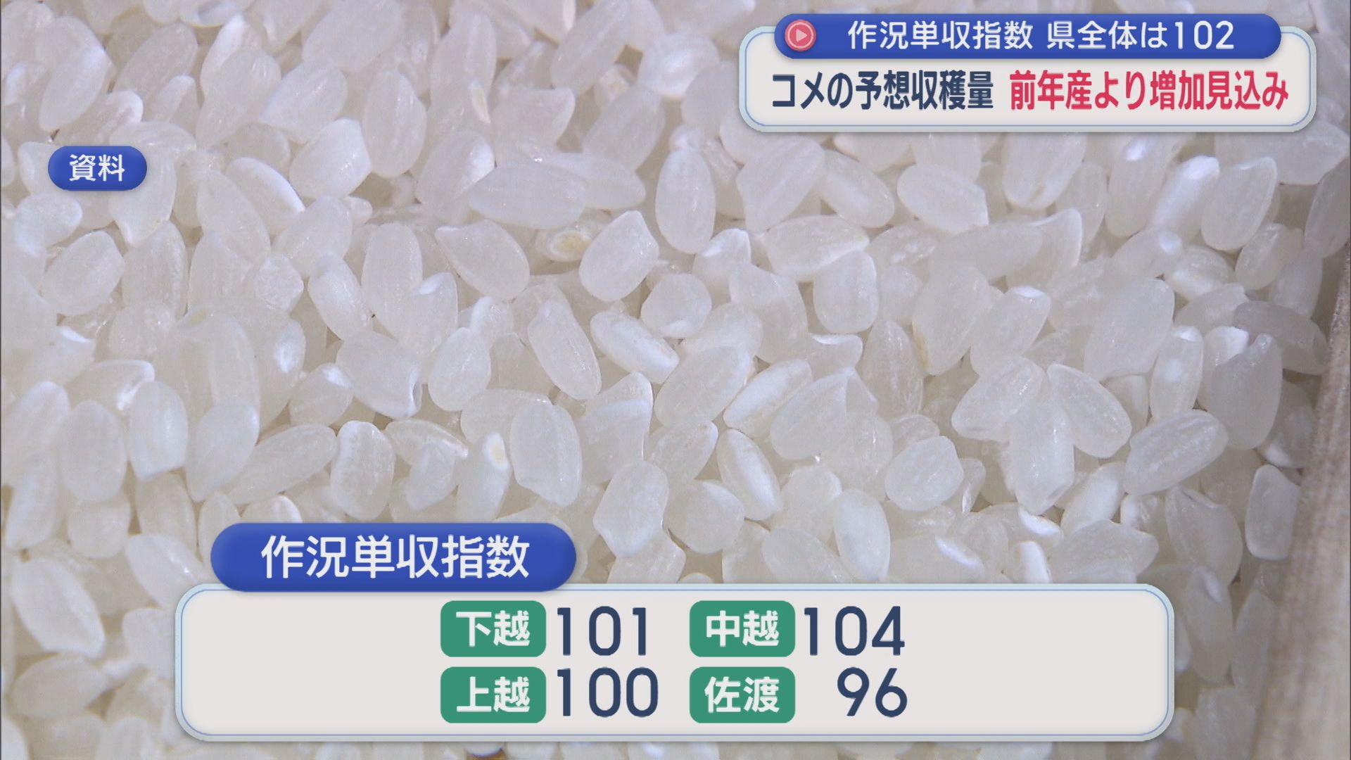 「コメの予想収穫量」前年産より増加見込み、県全体の『作況単収指数』は全国と同じ102【新潟】 2025年11月20日(木)