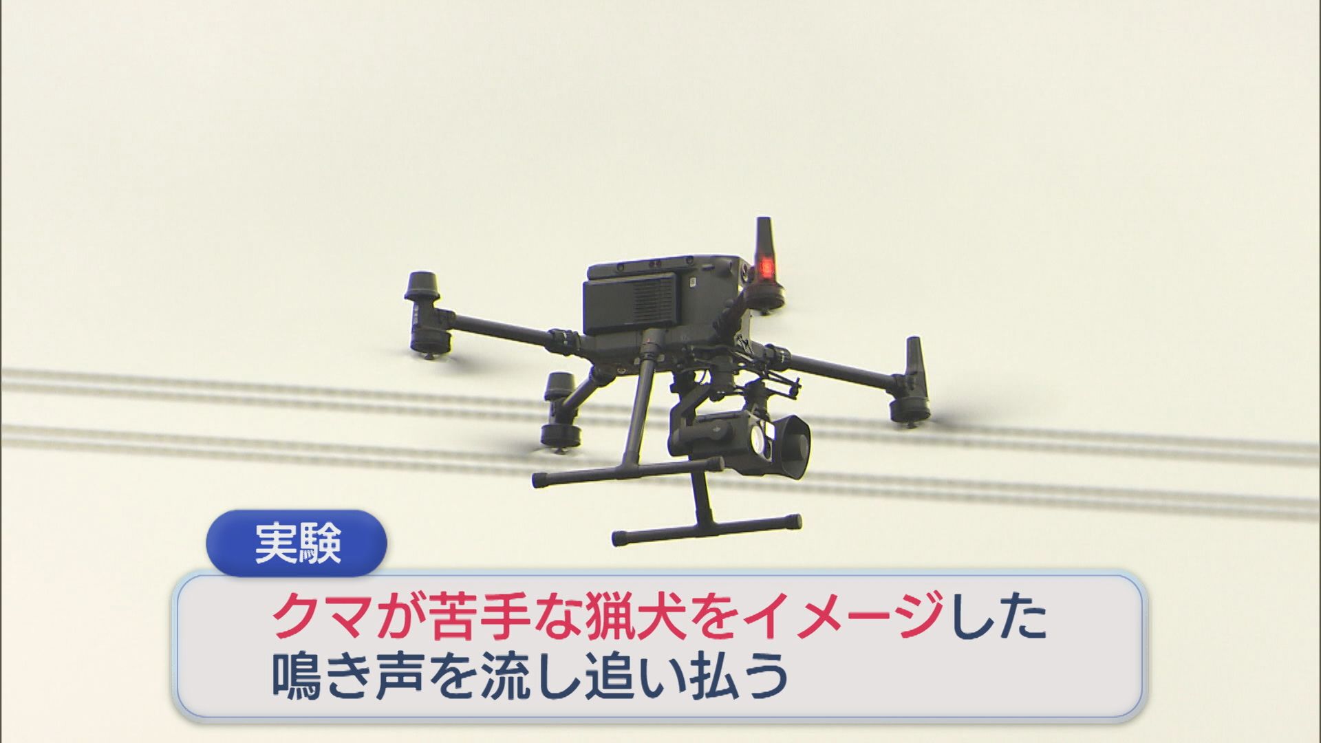 ドローンから”猟犬の鳴き声”空からクマを追い払う実験 来年度の実用化を目指す【新潟】 2025年11月24日(月)