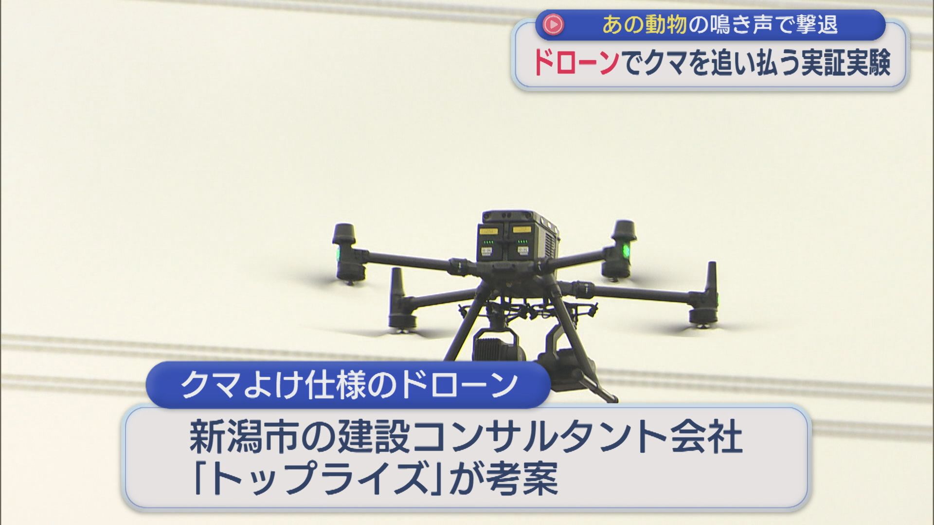 【クマ】「人でが足りない部分を技術で補う」ドローンを使った新たなクマ対策の実証実験【新潟】 2025年11月24日(月)