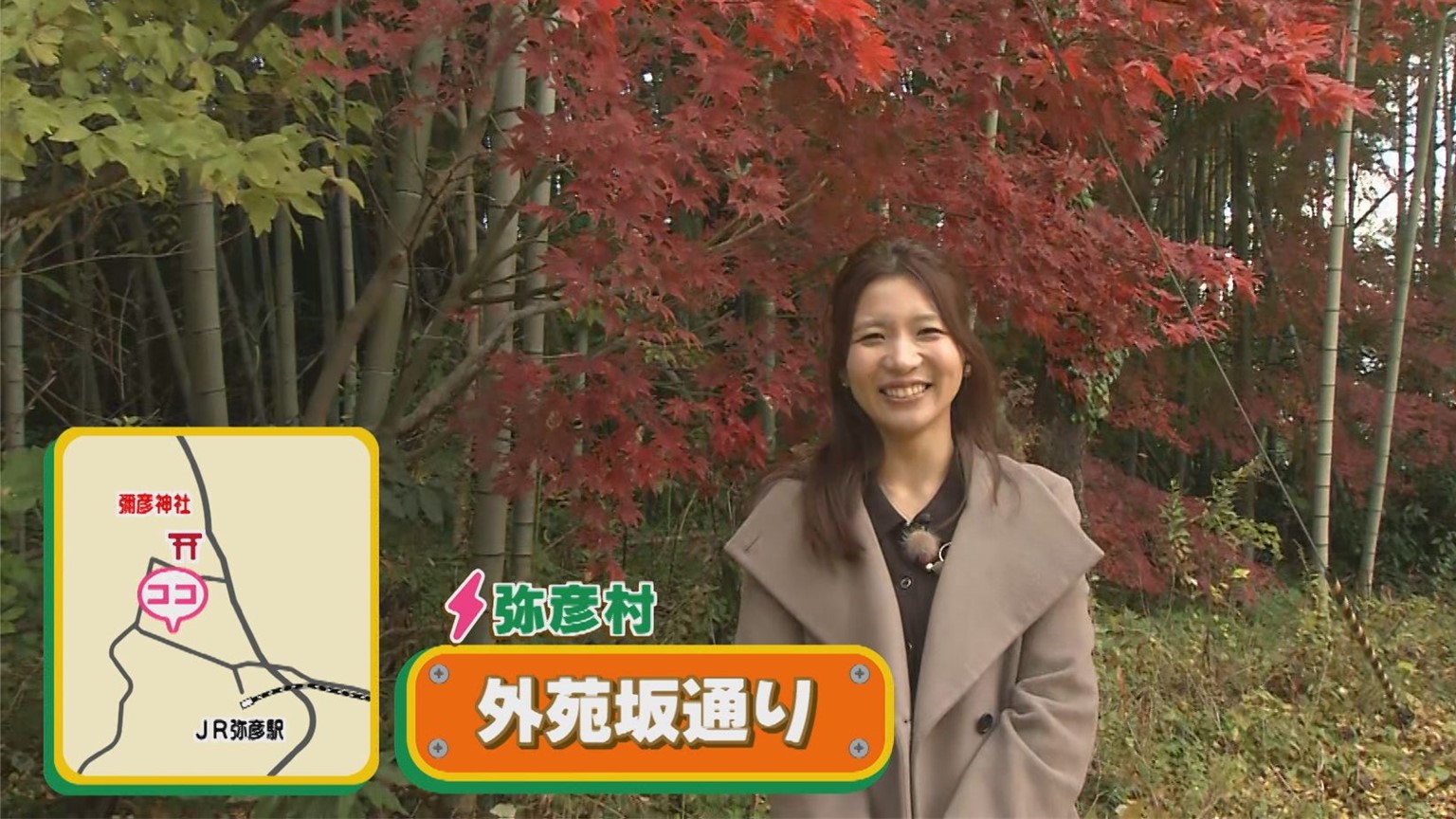 【新潟おでかけ情報】紅葉の名所「もみじ谷」と･･･もうひとつおすすめ「大迫力の紅葉スポット」も【弥彦村】 2025年11月26日(水)