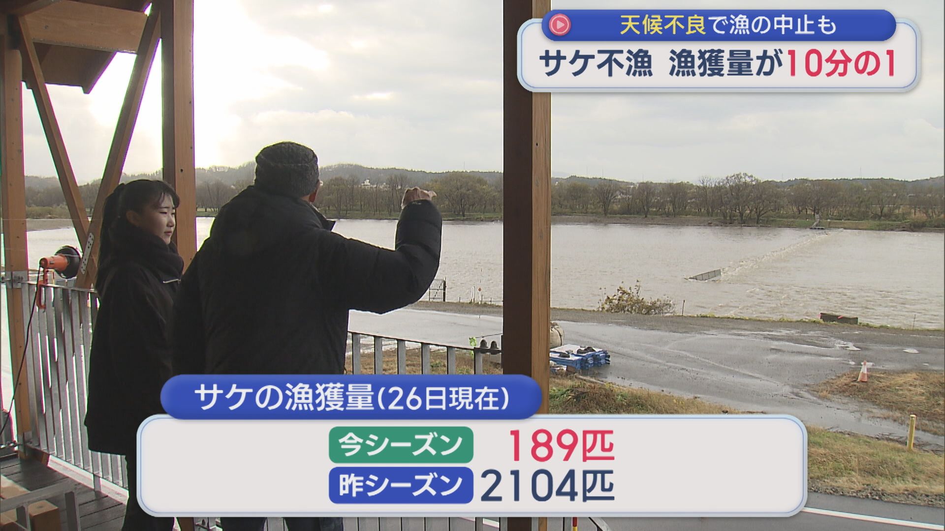 【サケ不漁】漁獲量が10分の1に･･･水温の上昇が関係か【新潟･村上市】 2025年11月28日(金)
