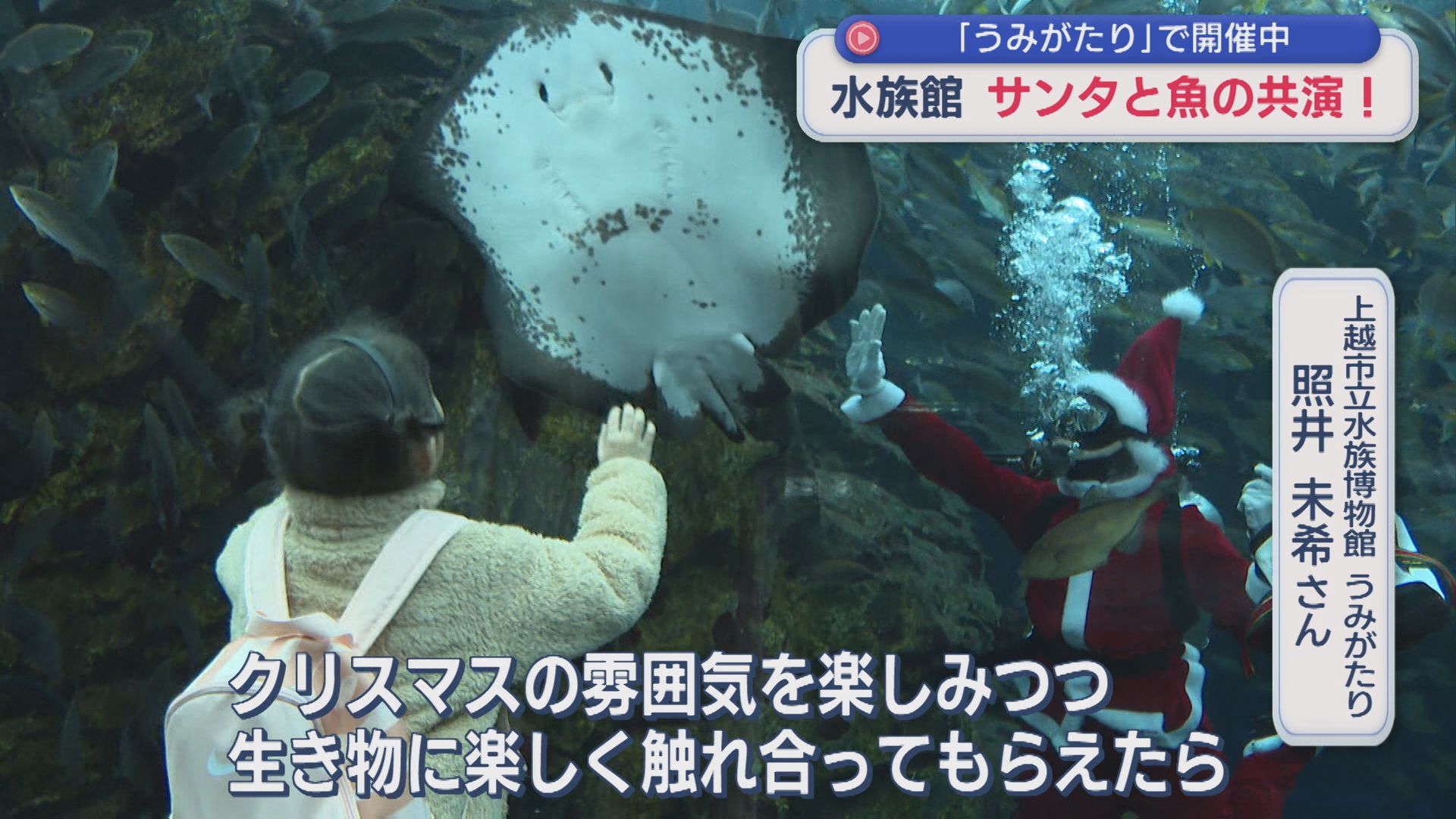 水族館の魚にサンタからプレゼント！「暖かい館内でクリスマスを」親子連れでにぎわう【新潟･上越市】 2025年12月09日(火)