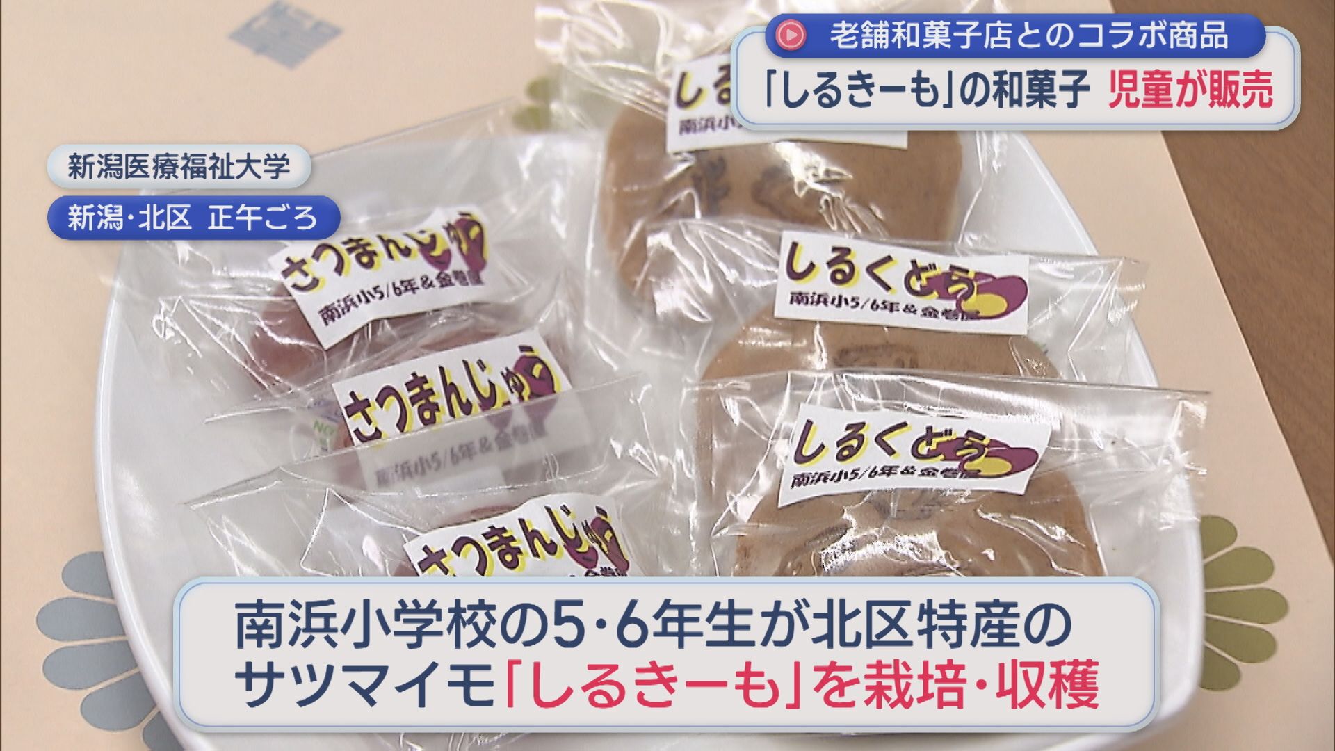 北区特産「しるきーも」を小学生が授業で栽培「完売するとうれしい」老舗和菓子店コラボの和菓子で魅力発信【新潟】 2025年12月10日(水)