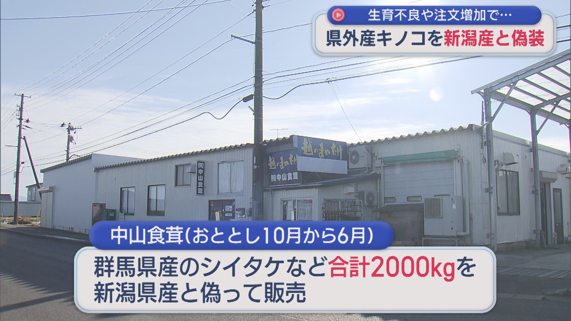 社長自ら保健所に連絡、生育不良や注文増加で･･･「キノコ」の産地偽装【新潟】 2025年12月11日(木)