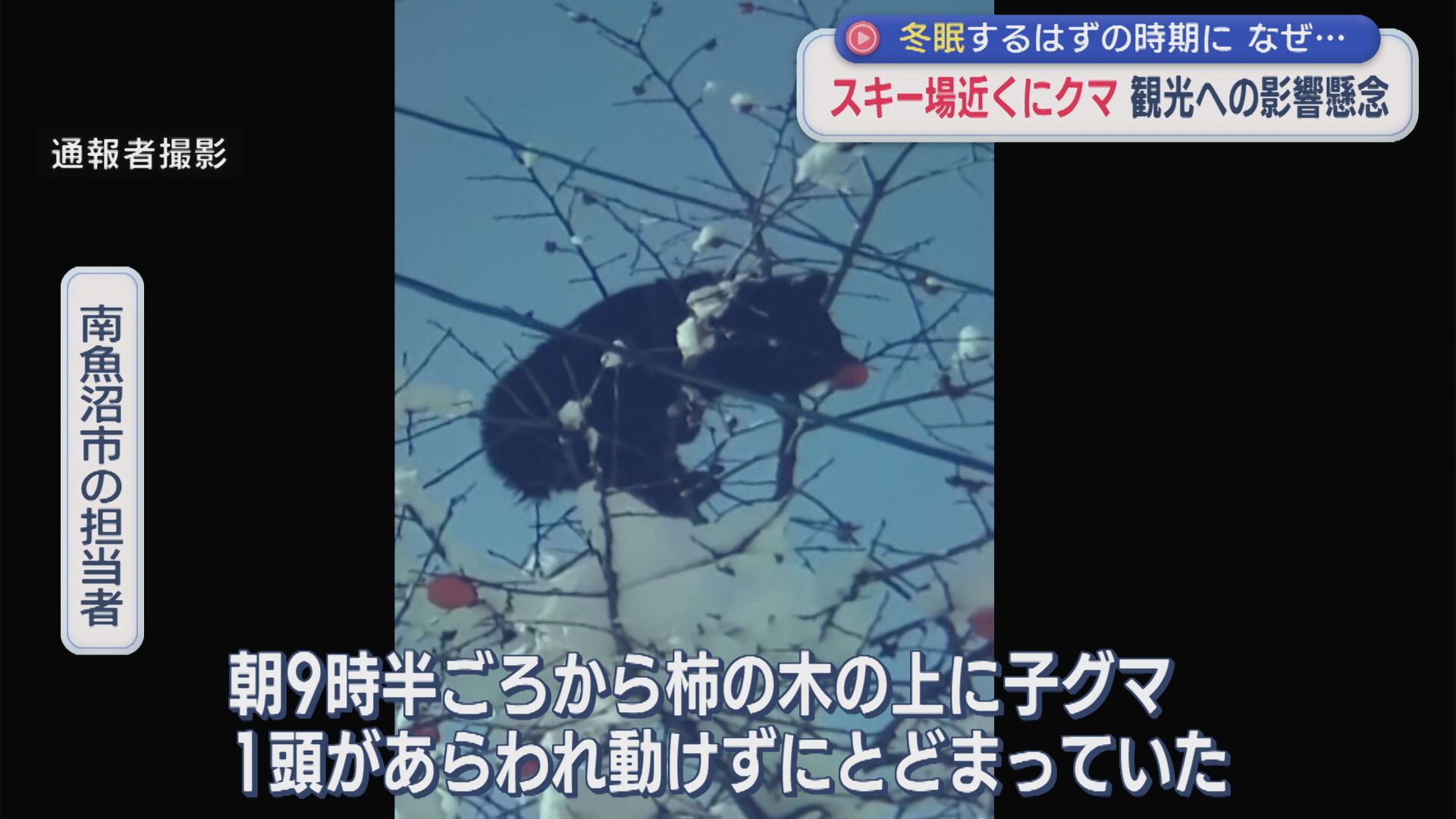 眠らないクマ･･･スキー場近くに出没「人間を70年以上やっていて初めて」観光への影響懸念【新潟】 2025年12月15日(月)