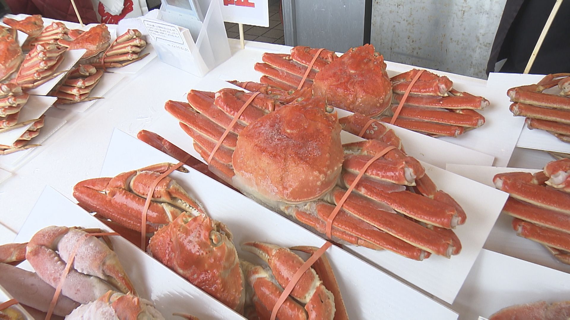 かにやいくらなど年末年始の食材を　長岡市寺泊　買い物客でにぎわう【新潟】 2025年12月30日(火)