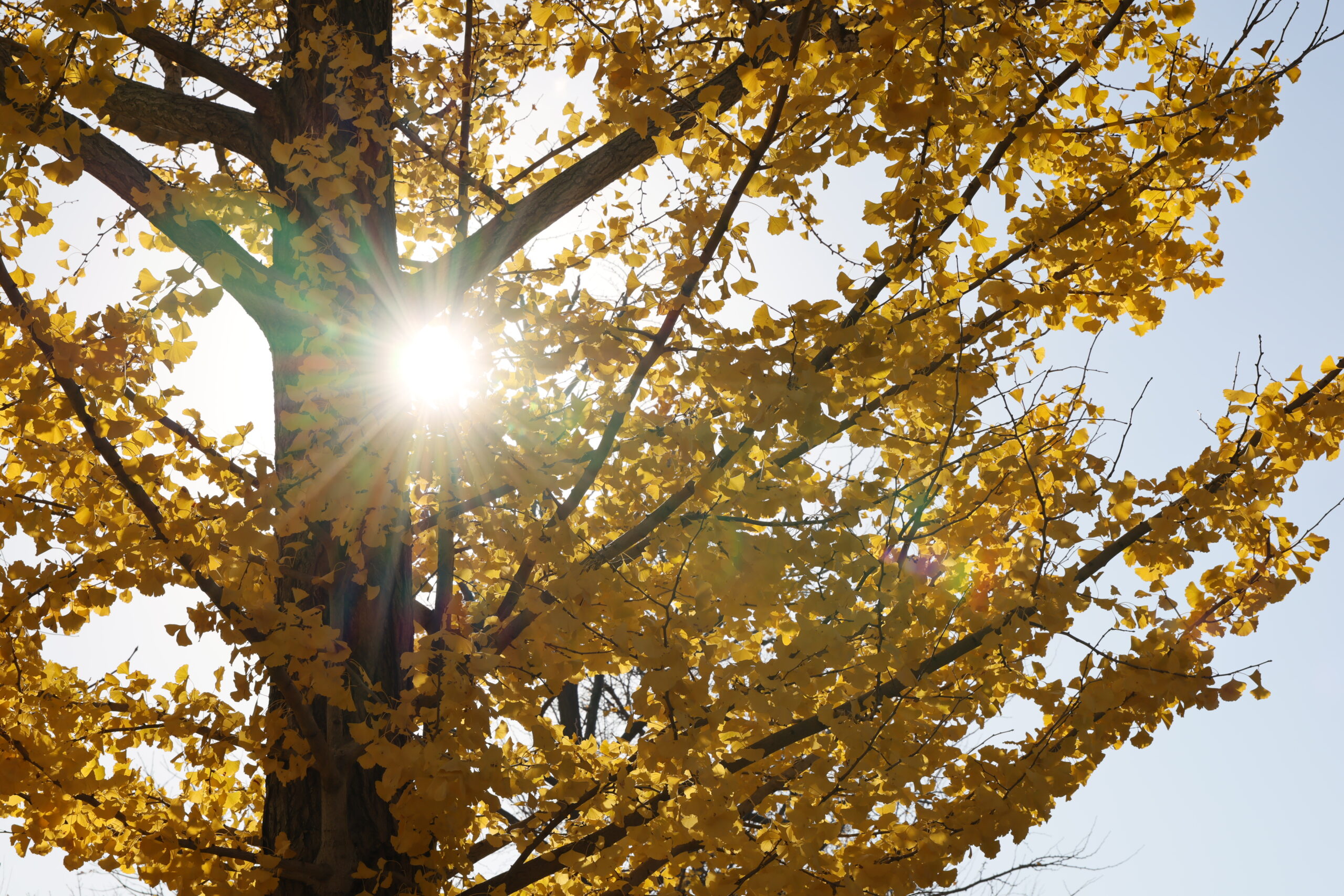 新潟県スポーツ公園でTeam ECO Work！を開催🌈