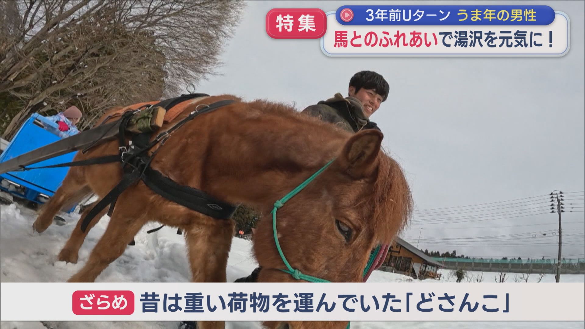 『午年』の男性が作る『ウマノバ』 地元の支えで駆け抜ける相棒との日々 【新潟】 2026年01月07日(水)