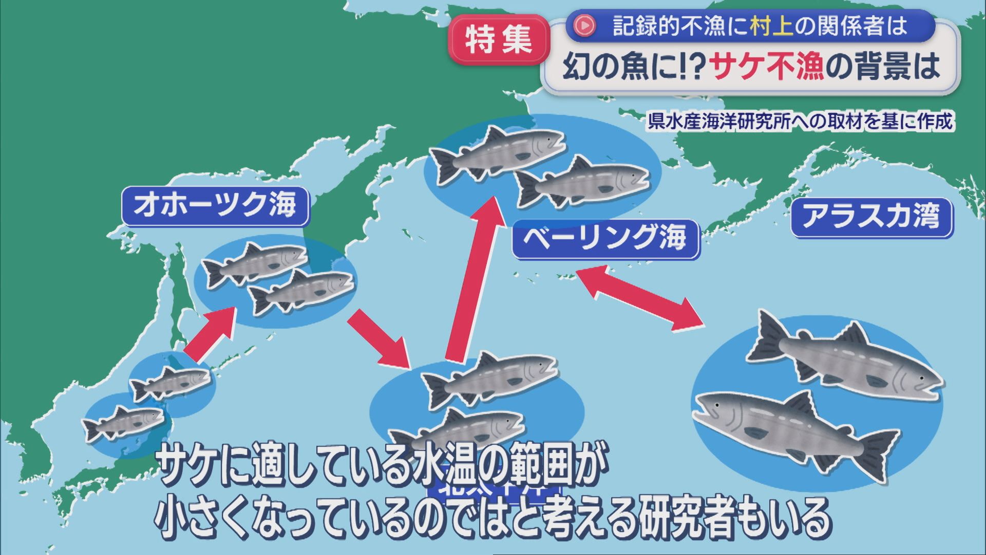 【特集】異常事態！このままでは幻の魚に･･･記録的な「サケ不漁」の背景は【新潟】 2026年01月15日(木)